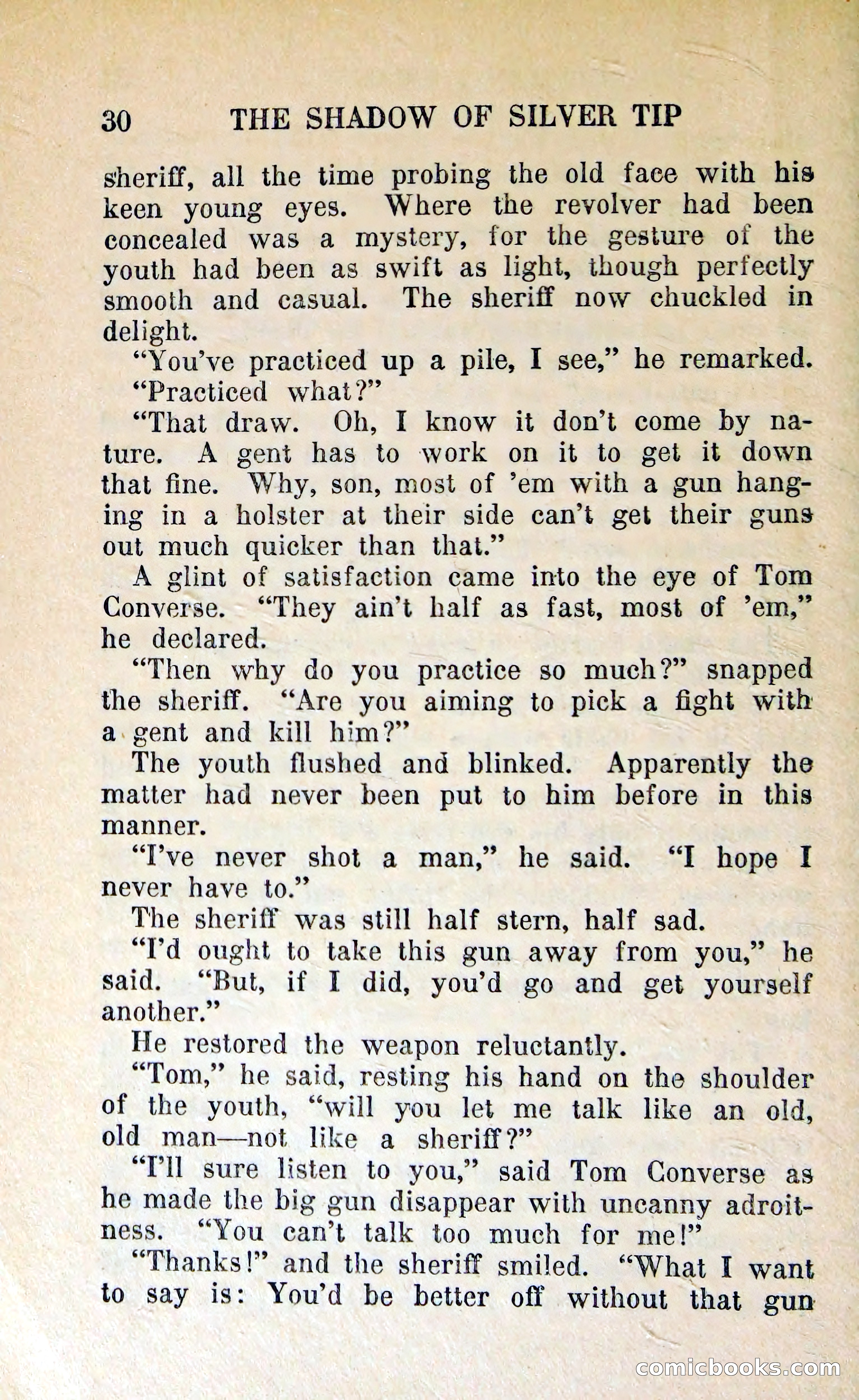The Shadow of Silver Tip — page 33 of 329