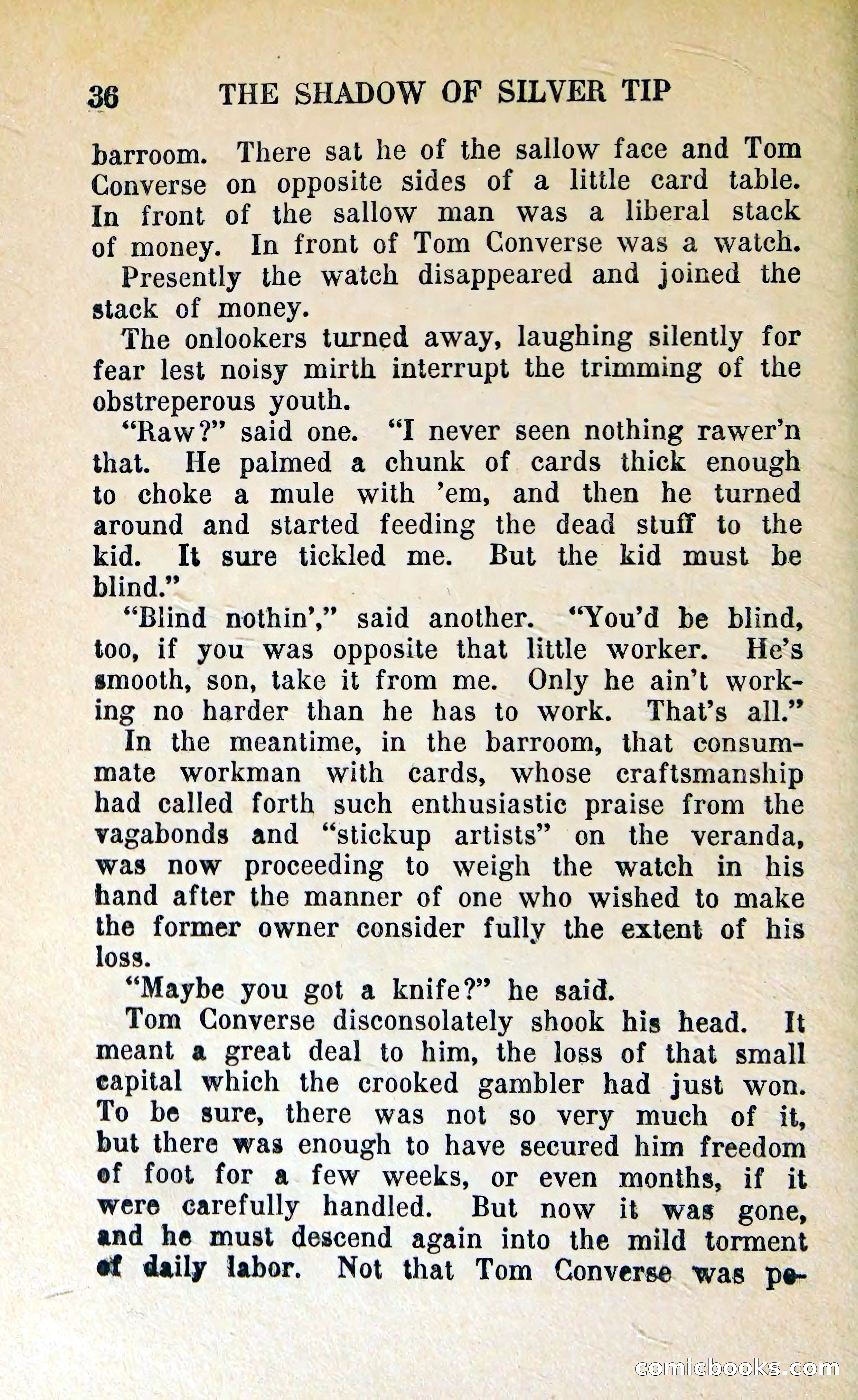 The Shadow of Silver Tip — page 39 of 329