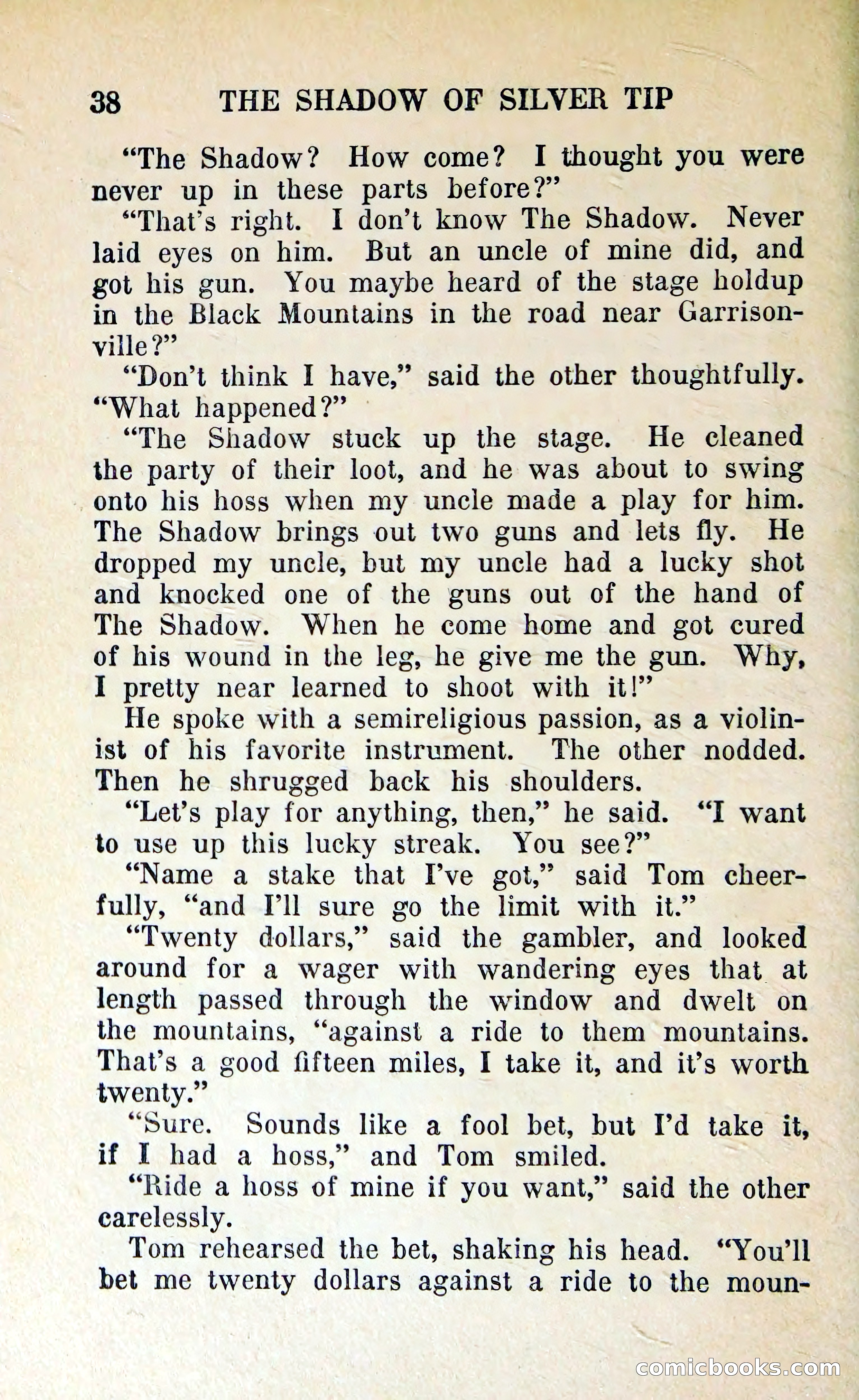 The Shadow of Silver Tip — page 41 of 329