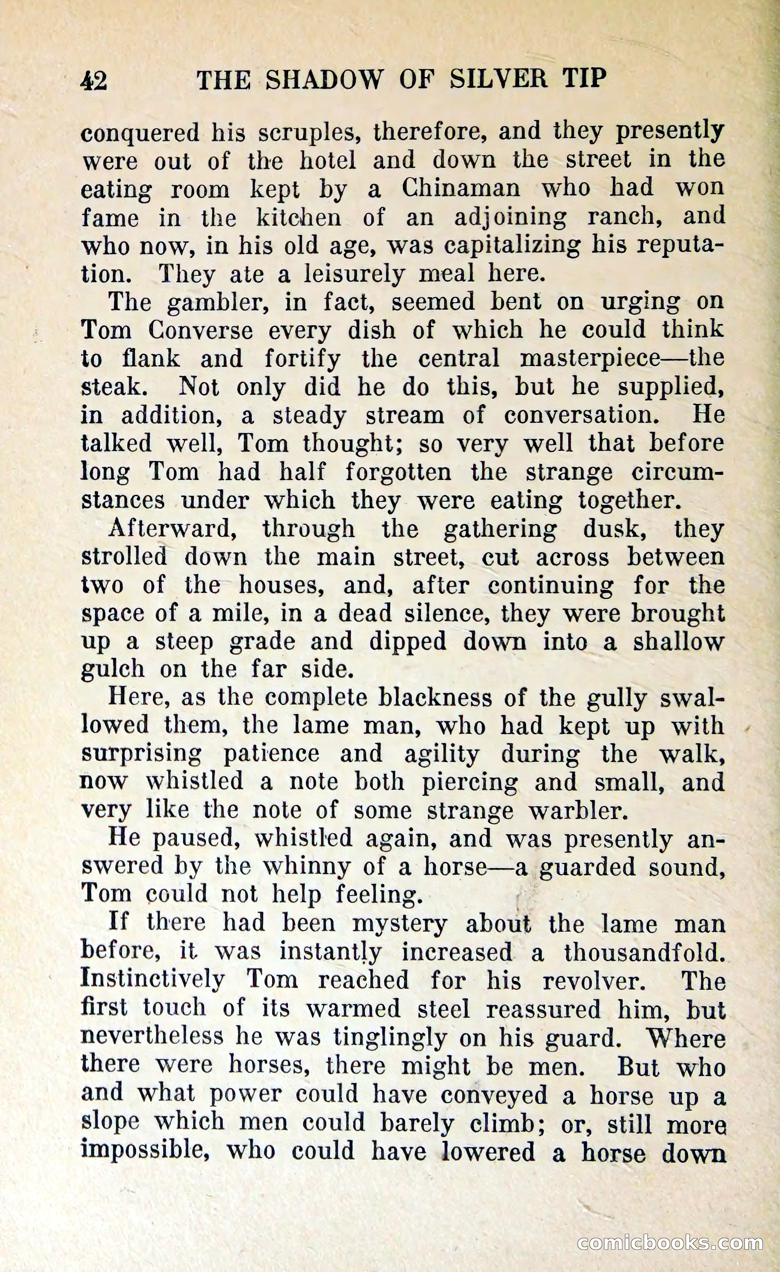 The Shadow of Silver Tip — page 45 of 329