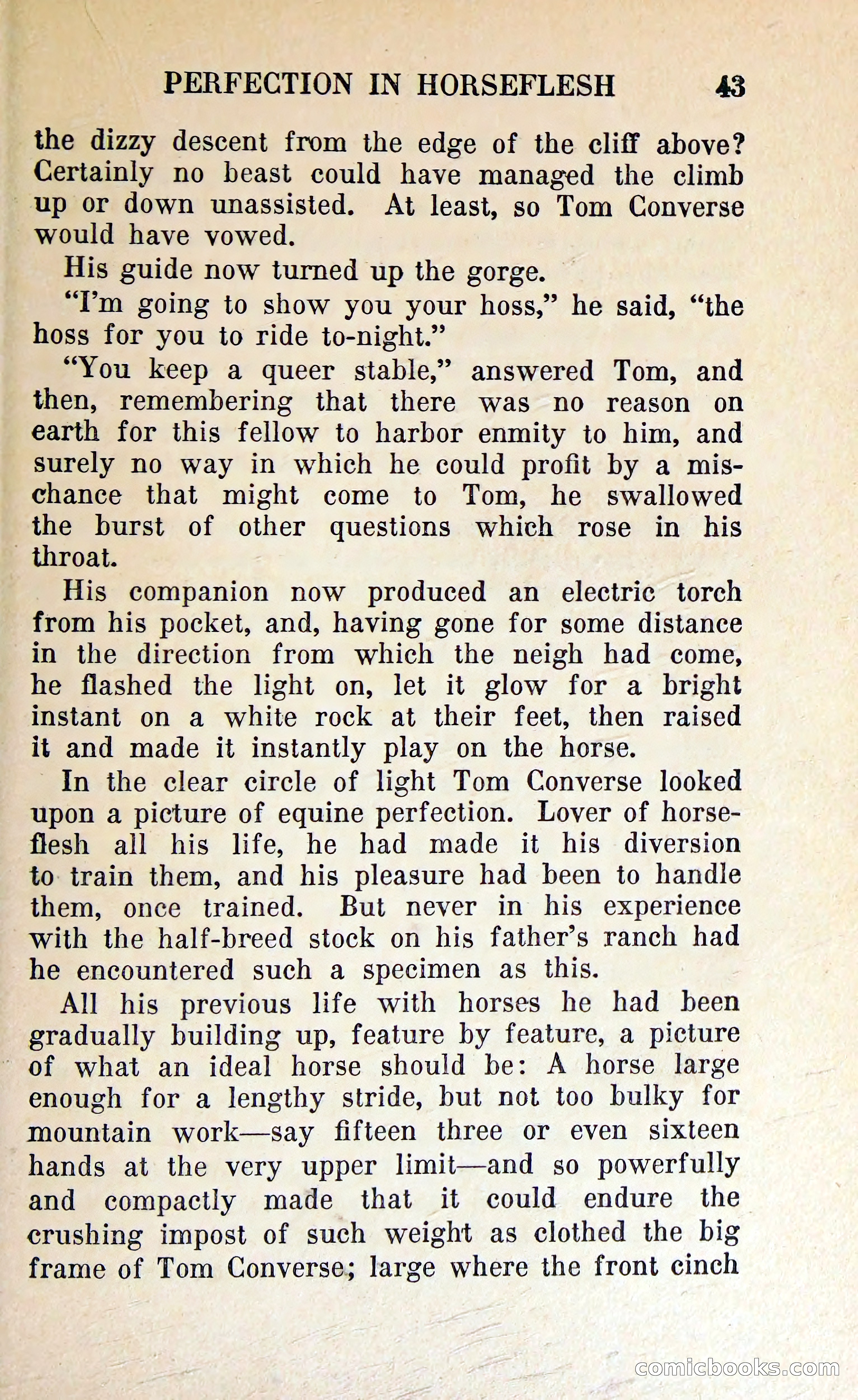 The Shadow of Silver Tip — page 46 of 329