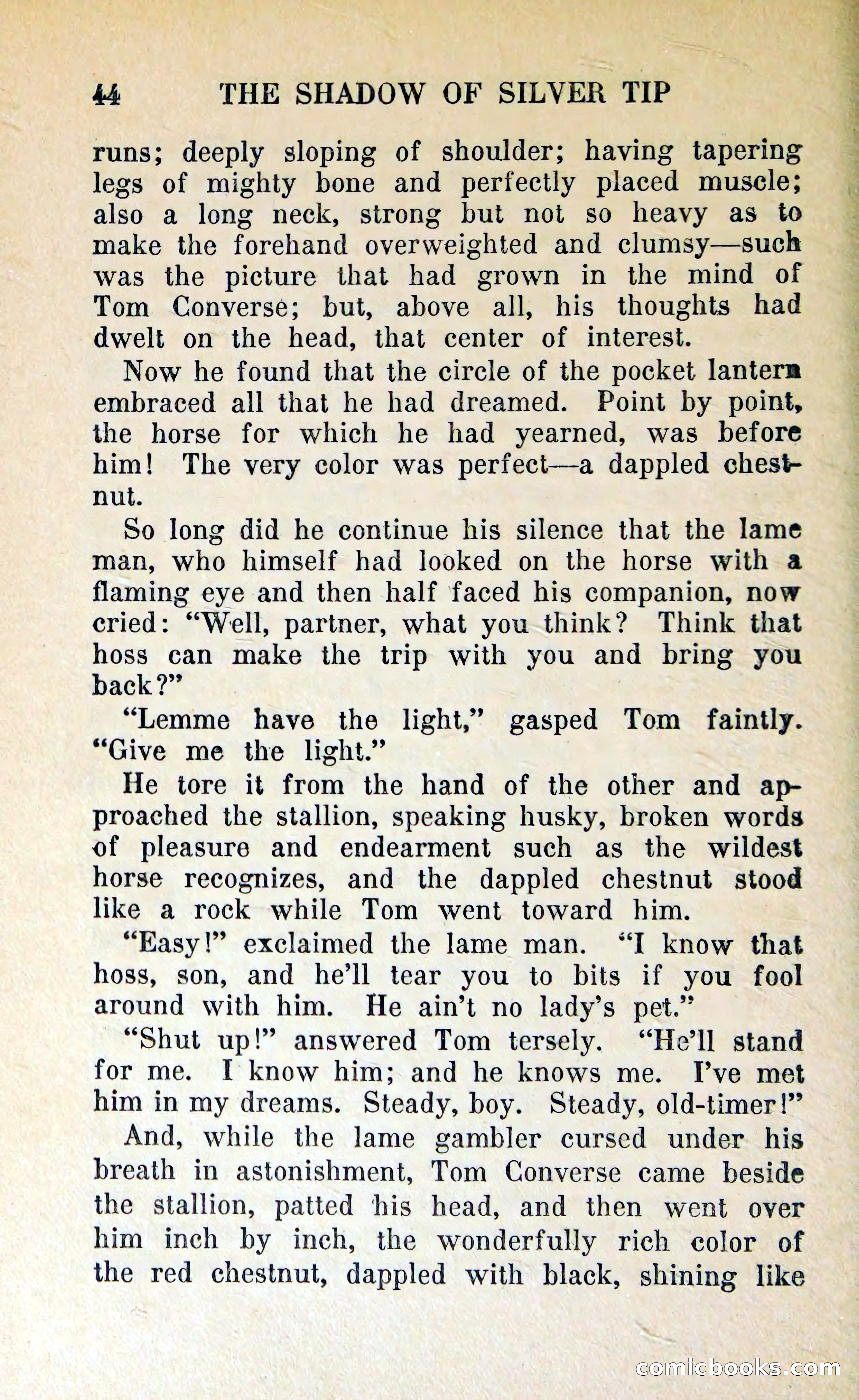 The Shadow of Silver Tip — page 47 of 329