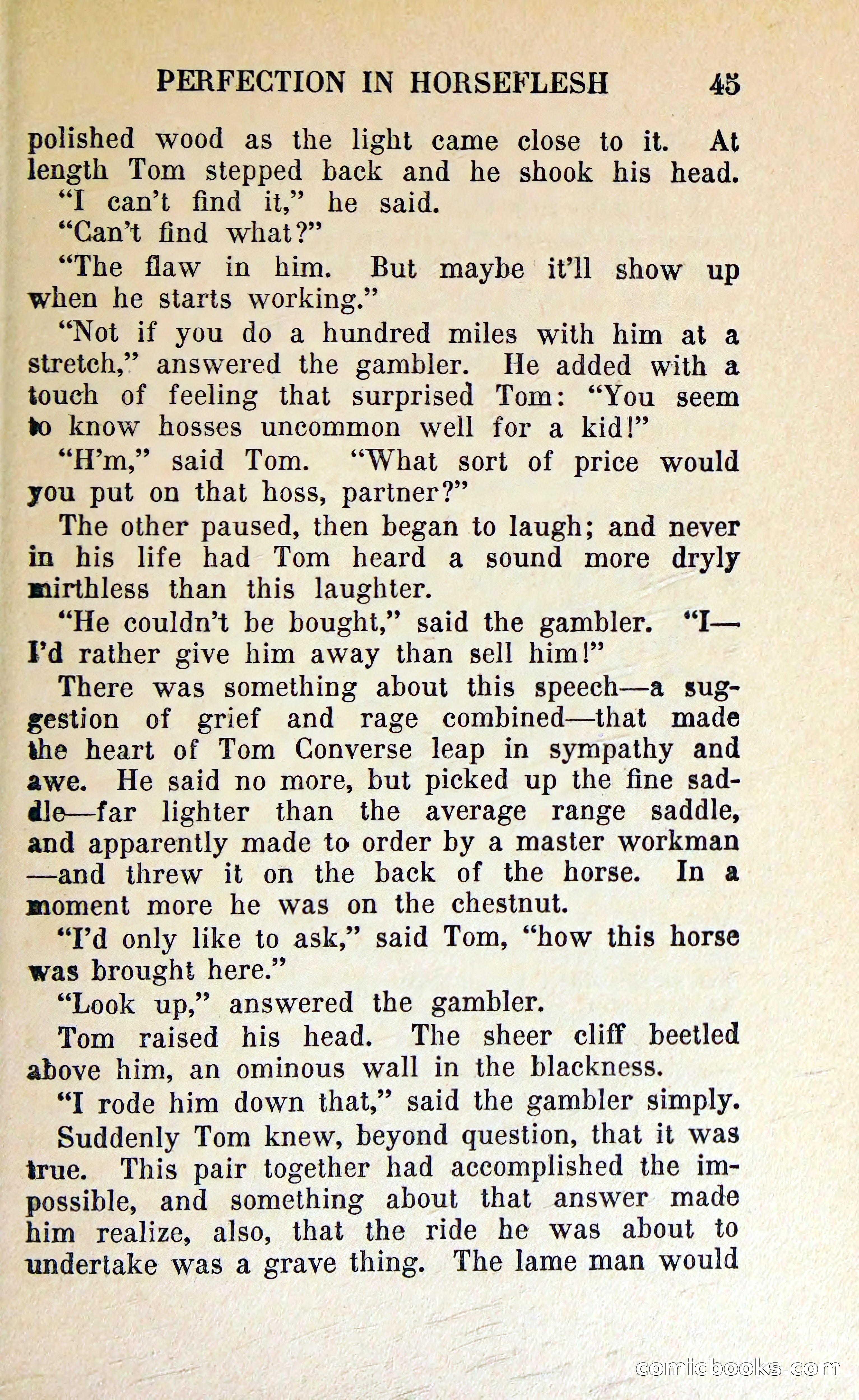 The Shadow of Silver Tip — page 48 of 329