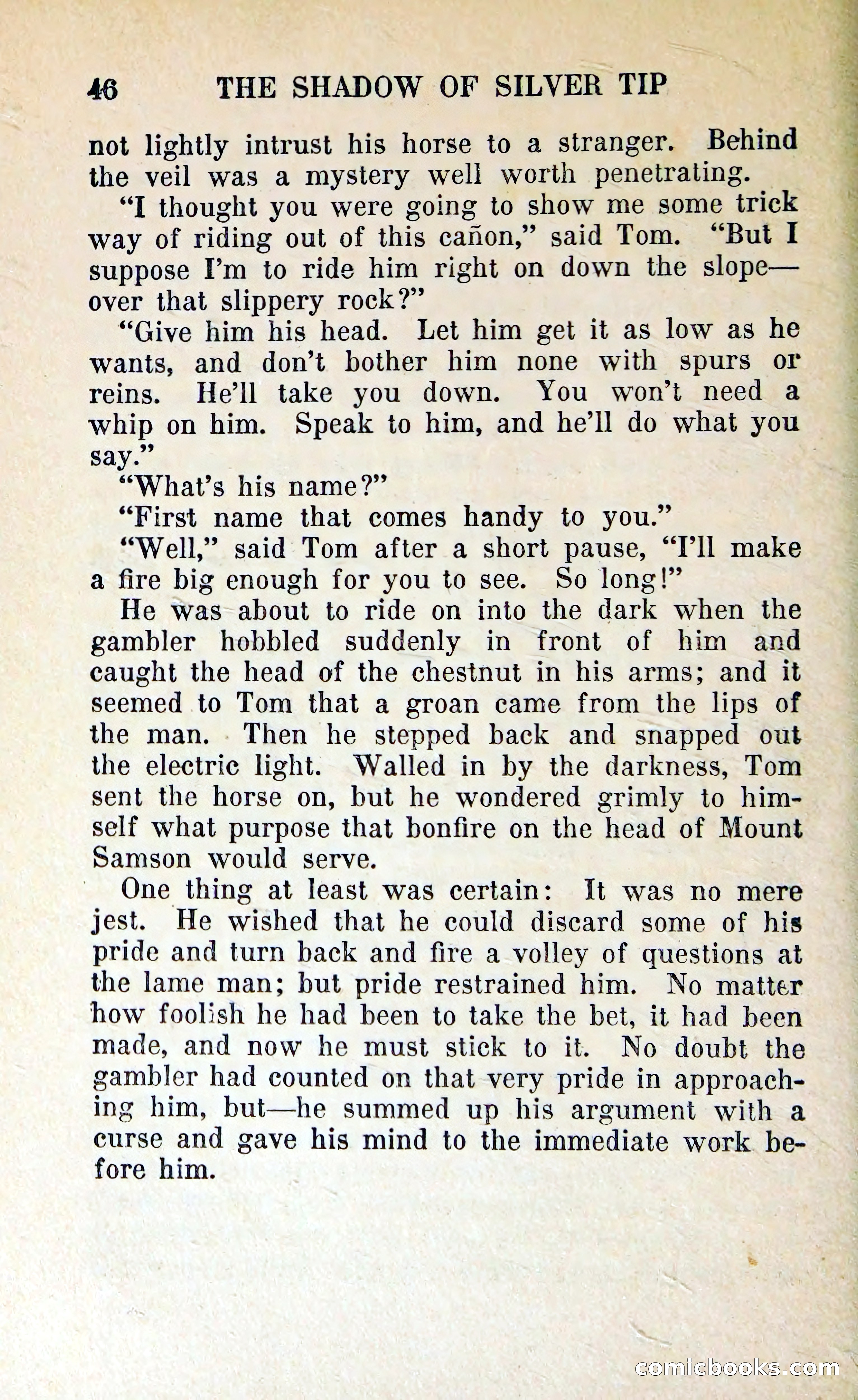 The Shadow of Silver Tip — page 49 of 329
