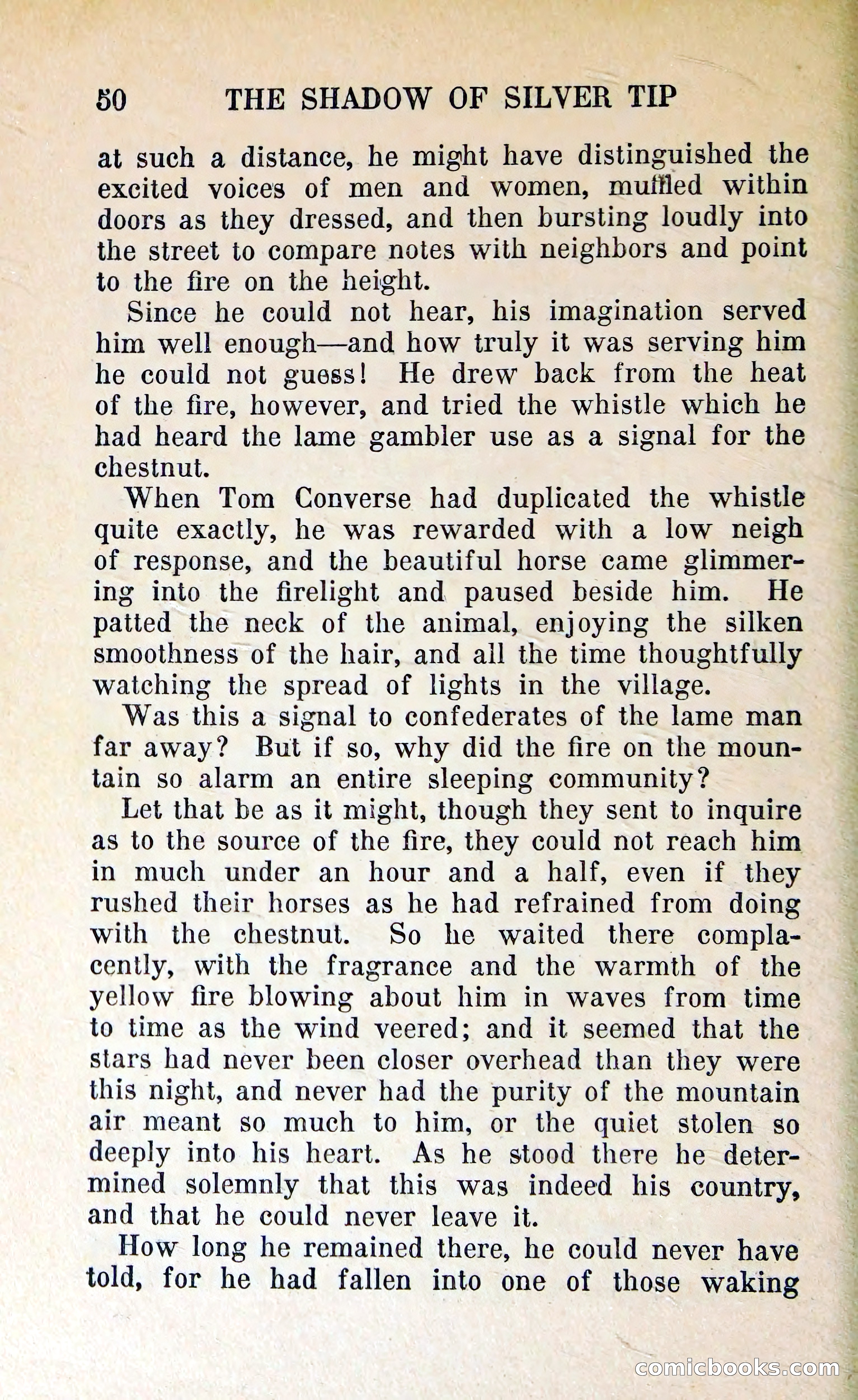 The Shadow of Silver Tip — page 53 of 329