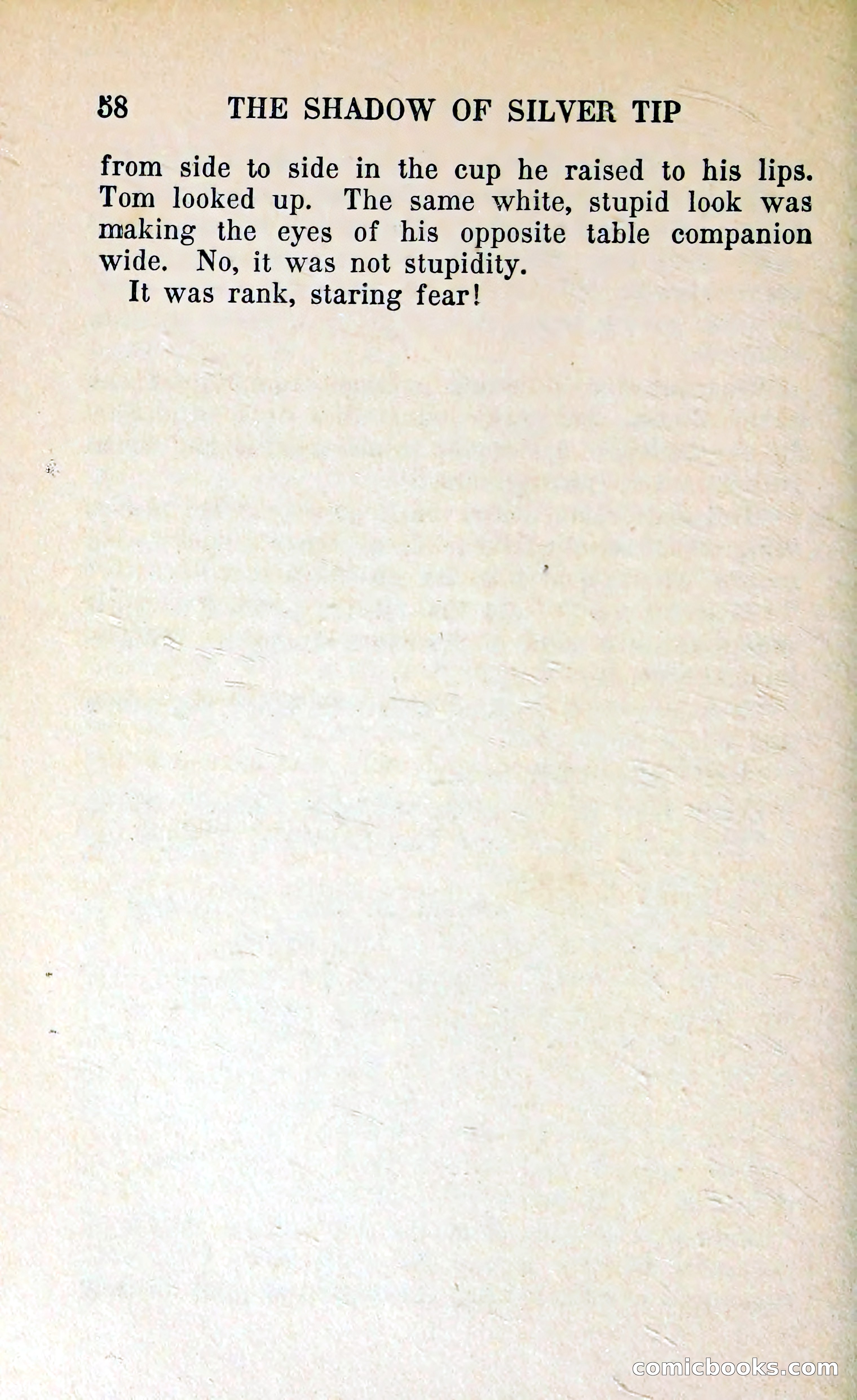 The Shadow of Silver Tip — page 61 of 329