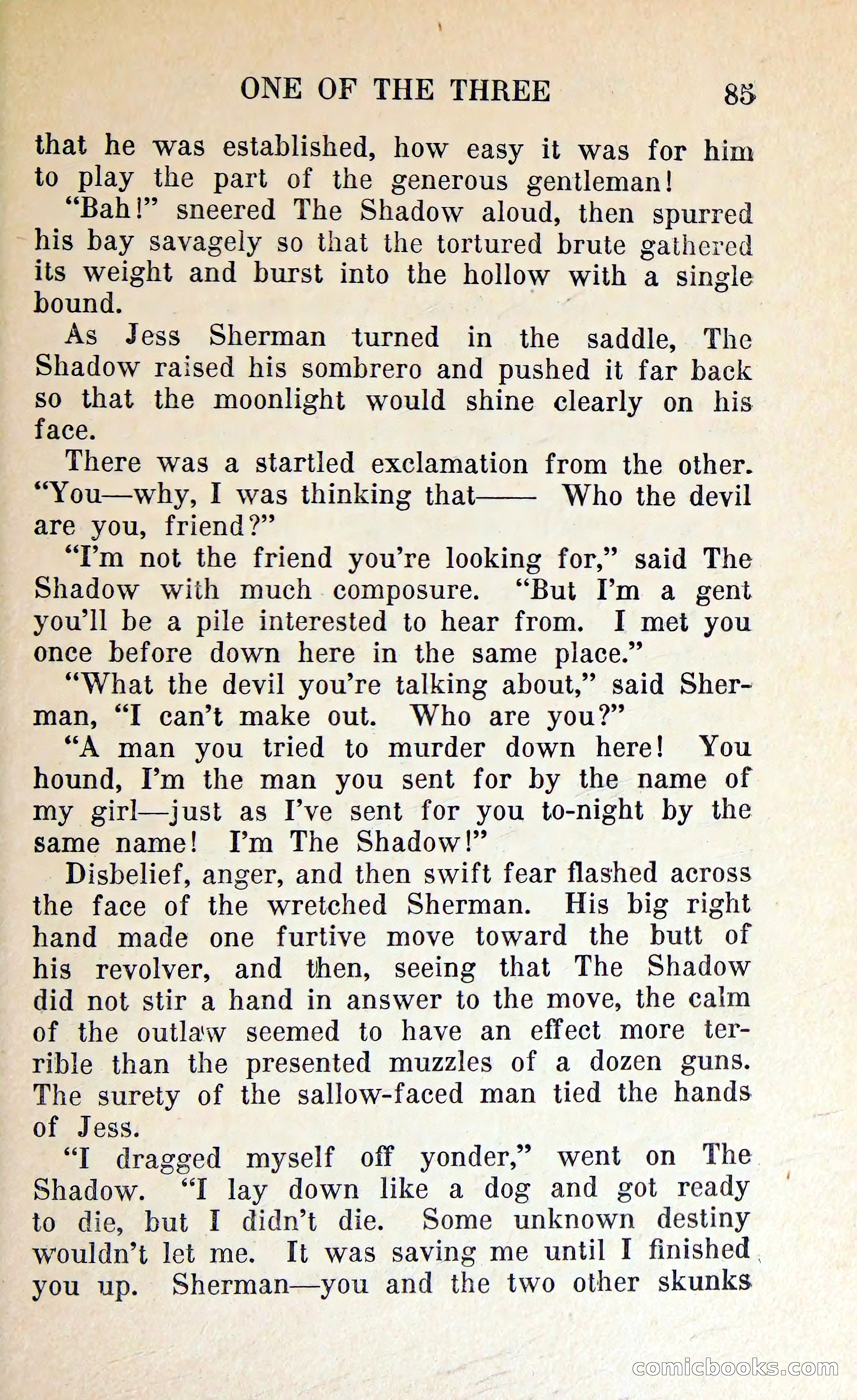 The Shadow of Silver Tip — page 88 of 329