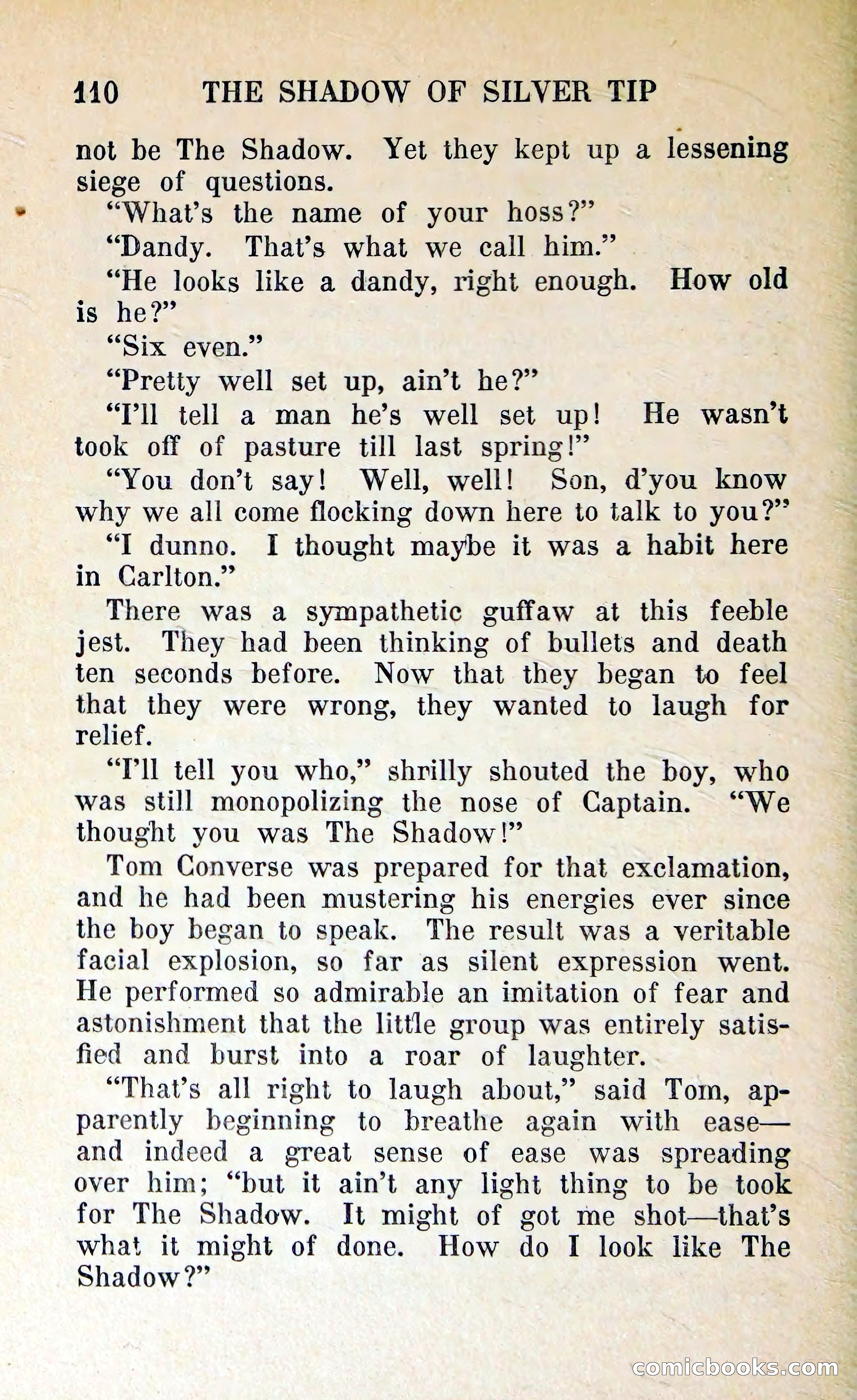 The Shadow of Silver Tip — page 113 of 329