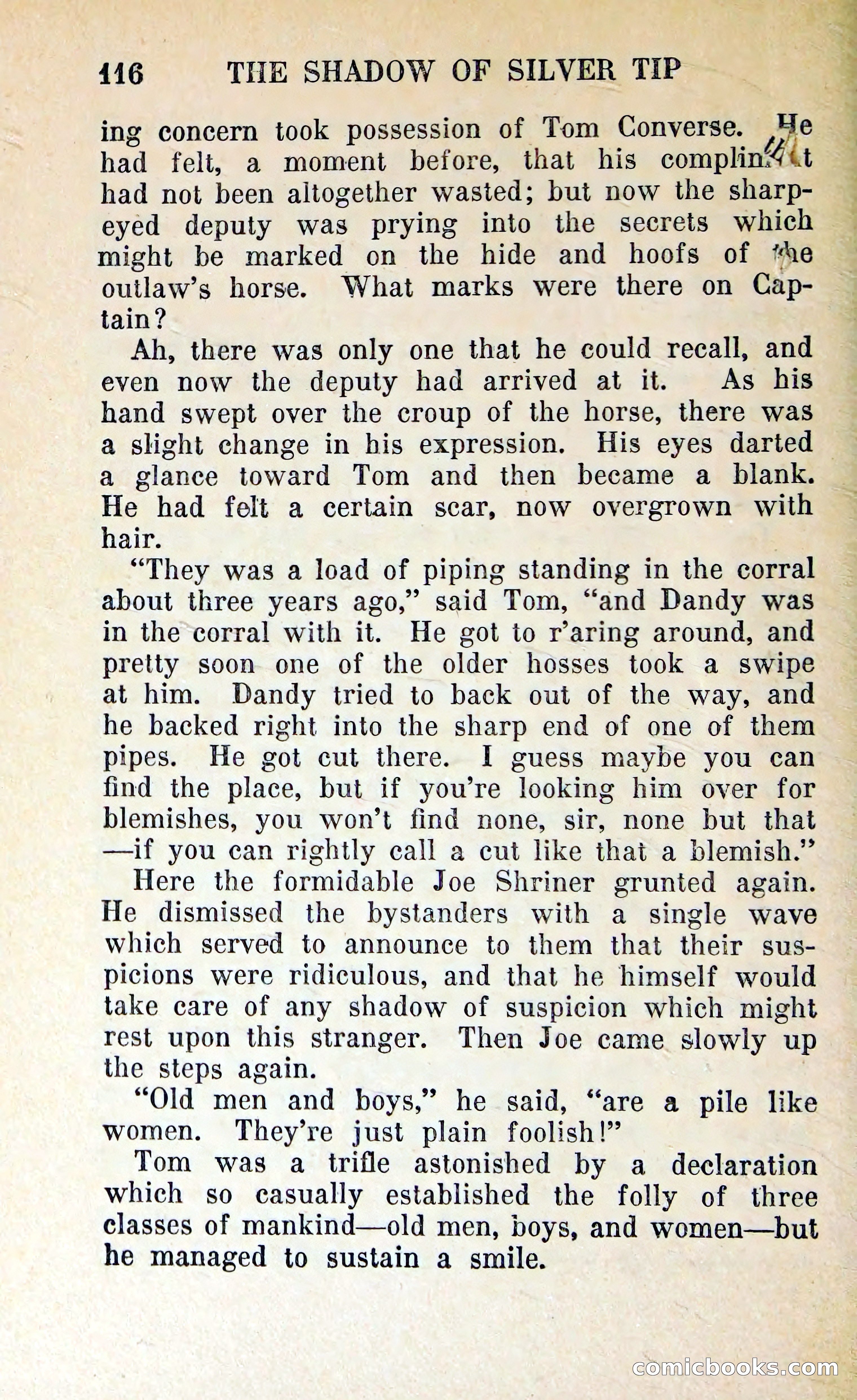 The Shadow of Silver Tip — page 119 of 329
