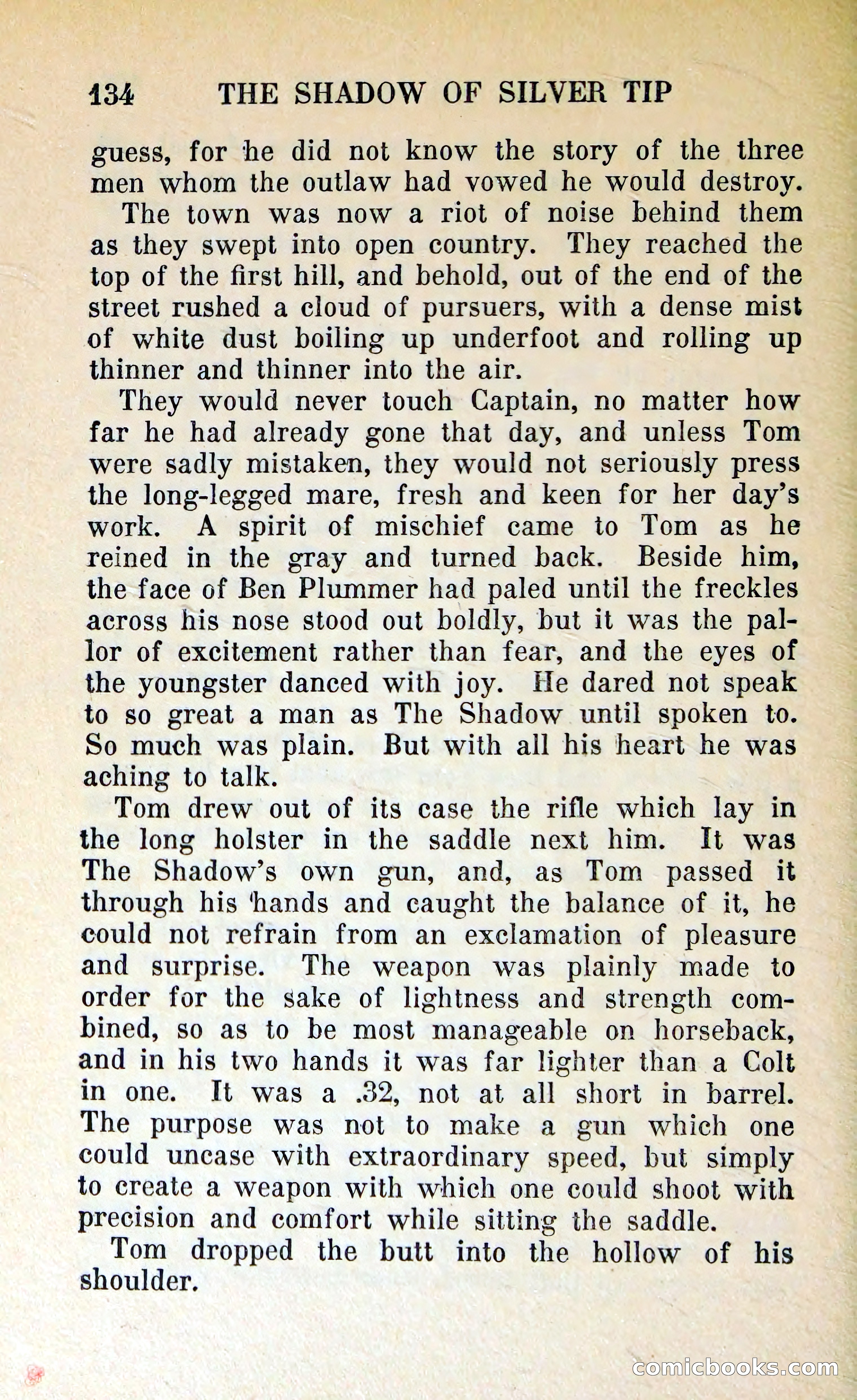 The Shadow of Silver Tip — page 137 of 329