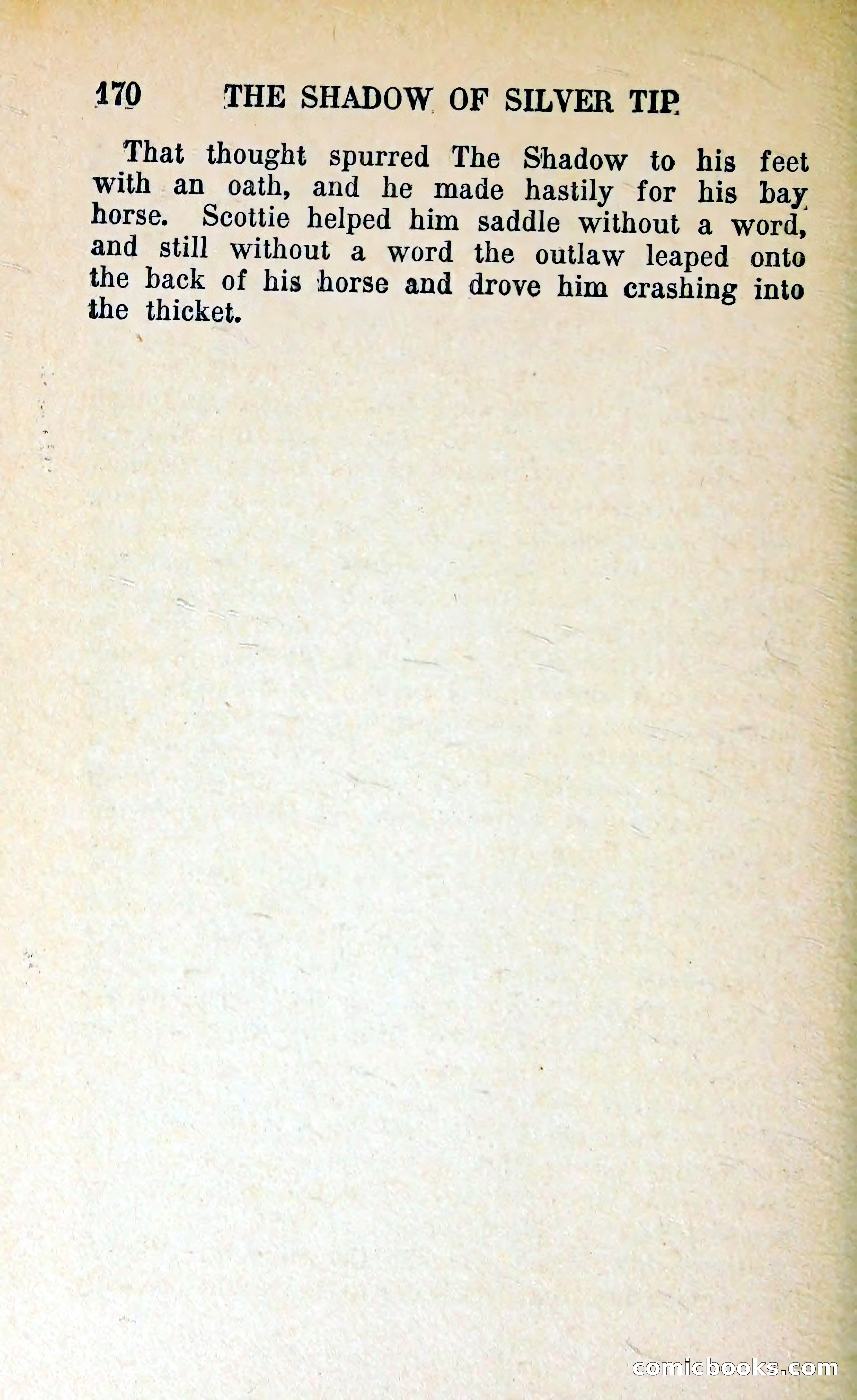 The Shadow of Silver Tip — page 173 of 329