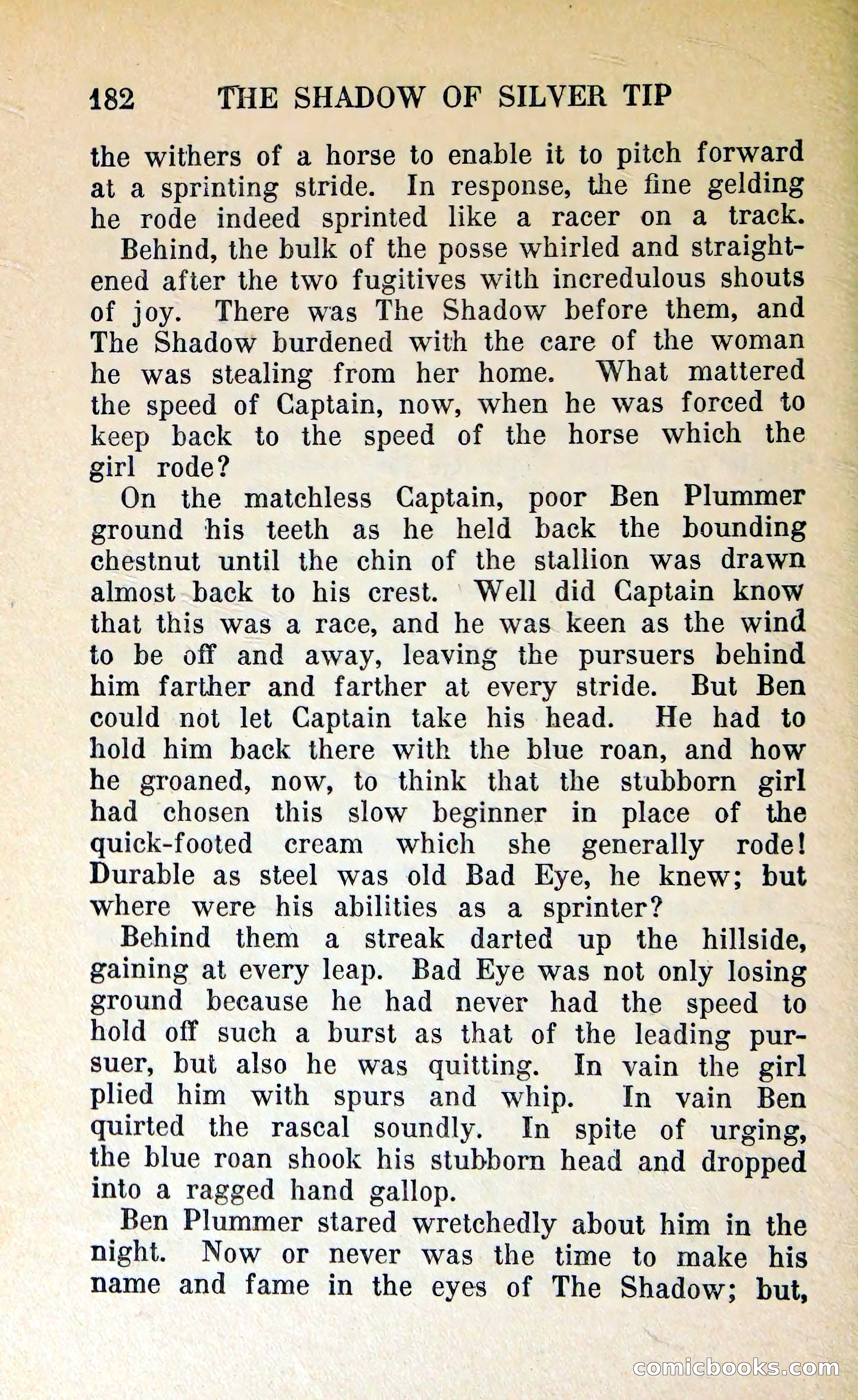 The Shadow of Silver Tip — page 185 of 329