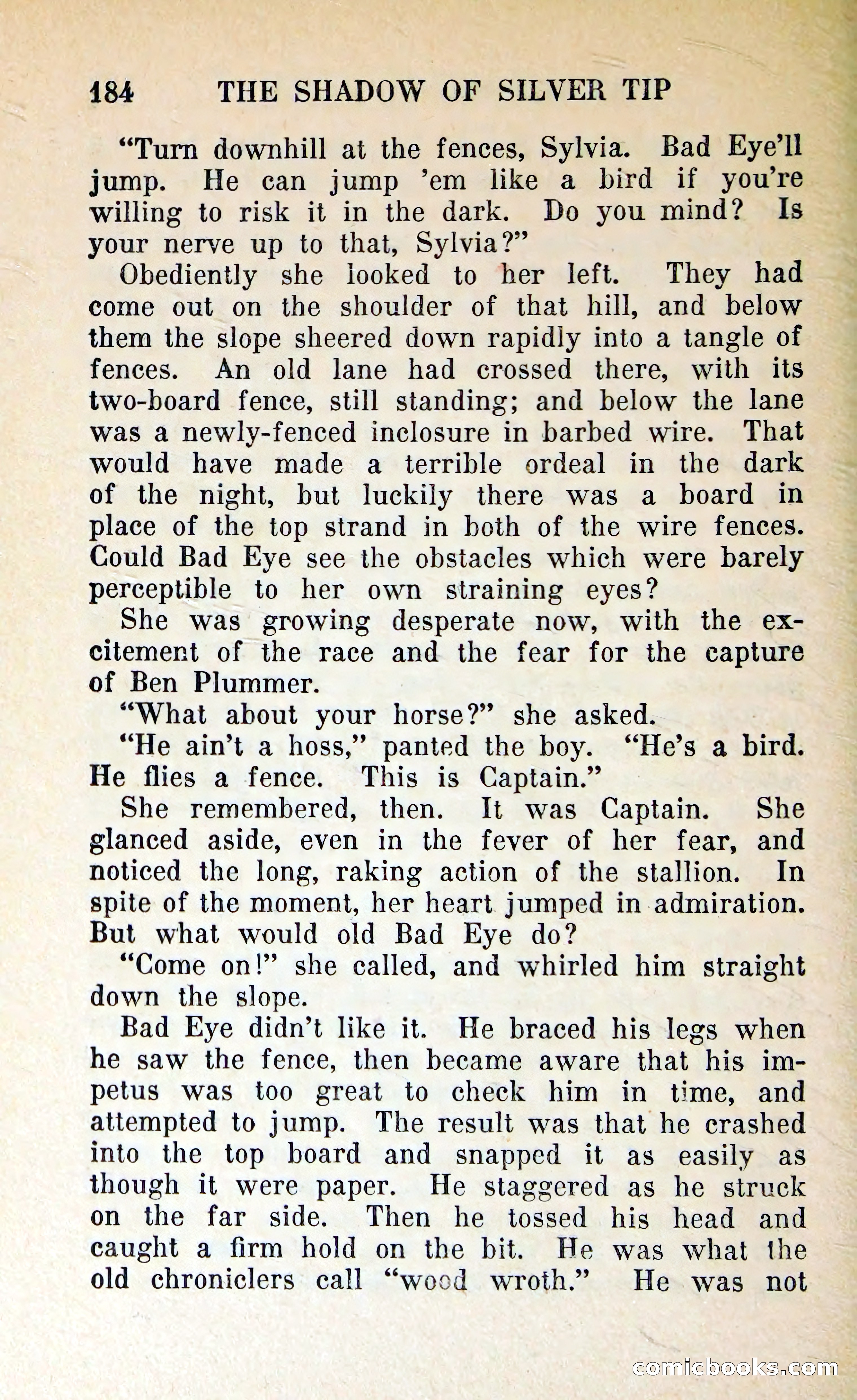 The Shadow of Silver Tip — page 187 of 329