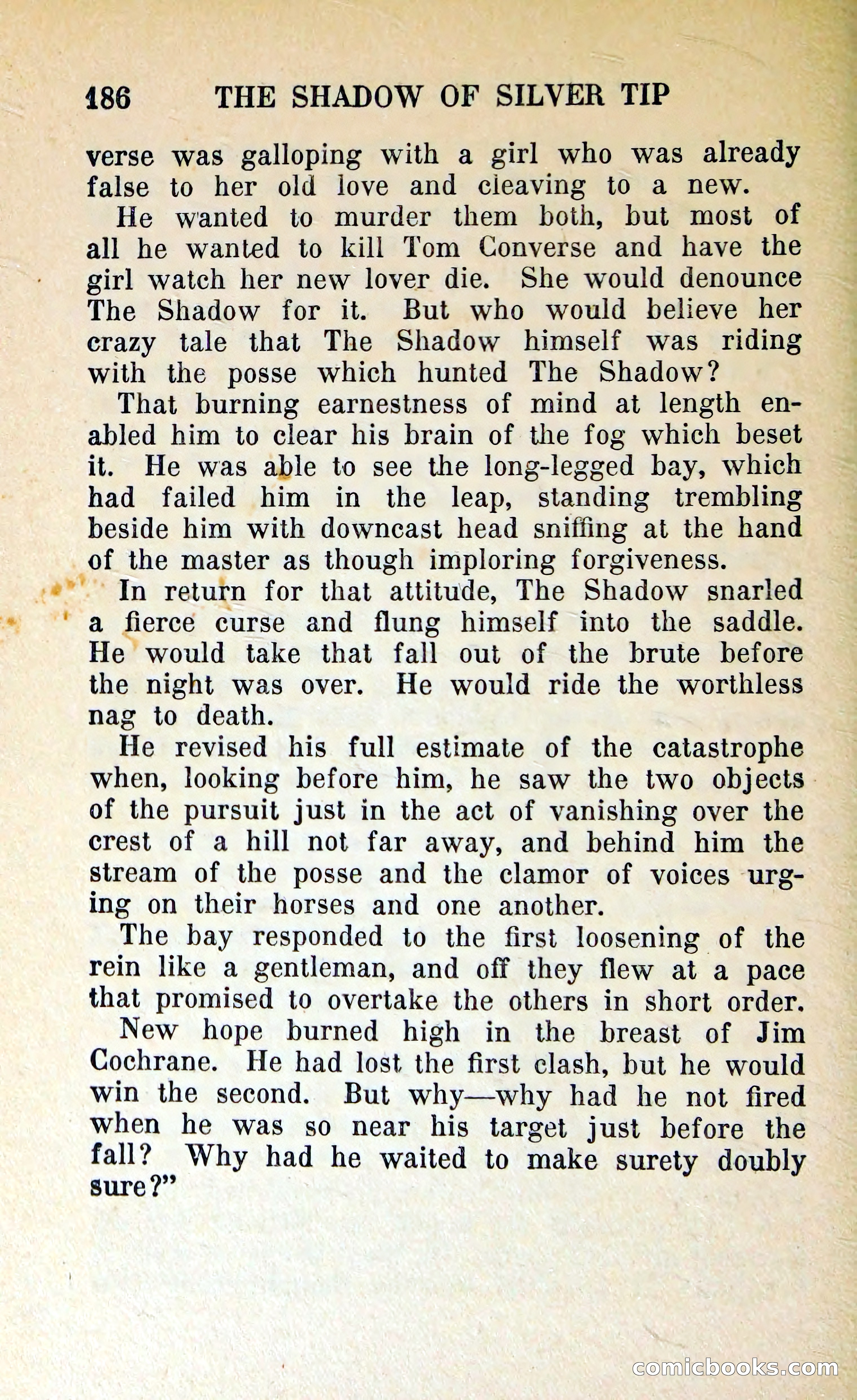 The Shadow of Silver Tip — page 189 of 329