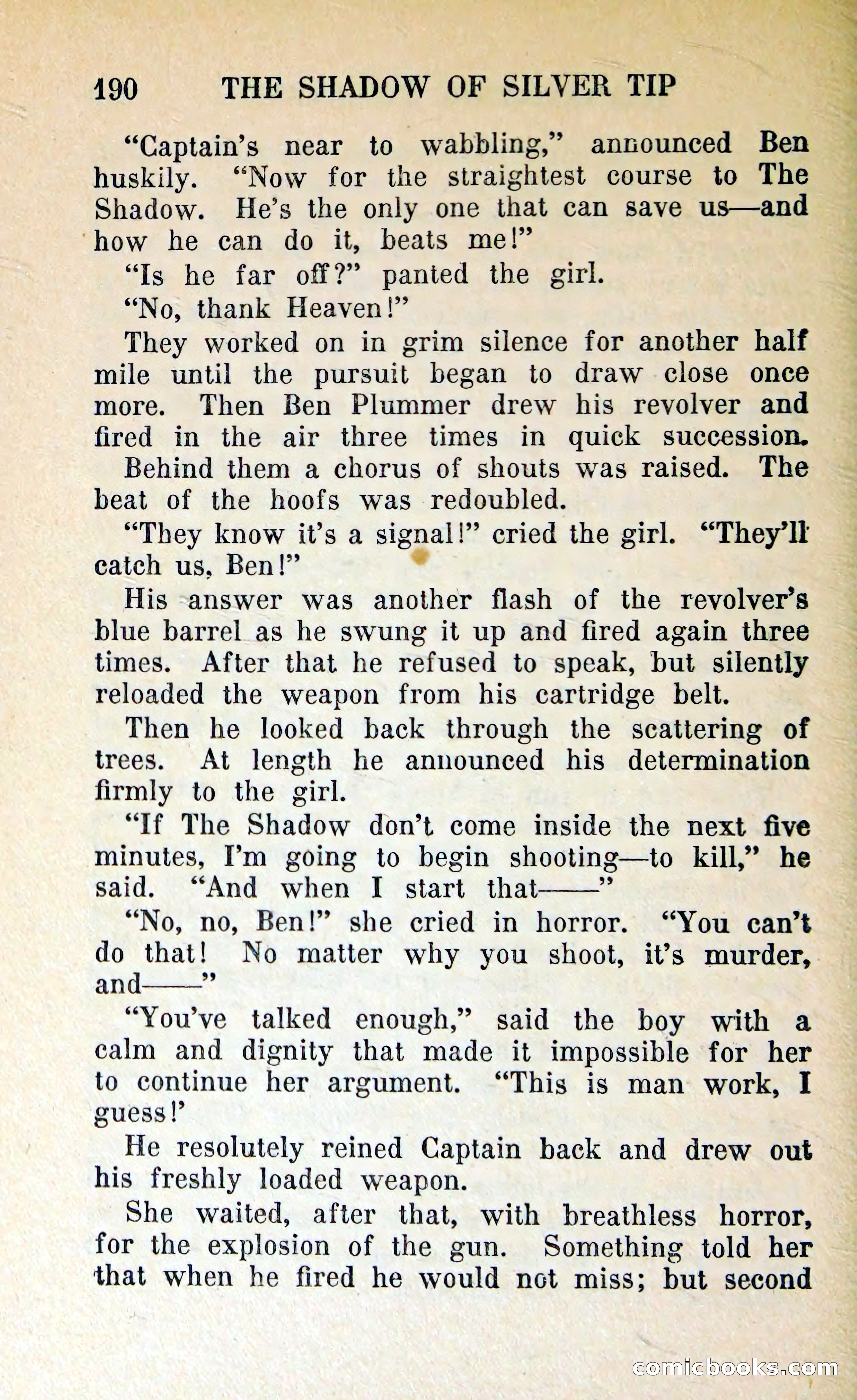 The Shadow of Silver Tip — page 193 of 329