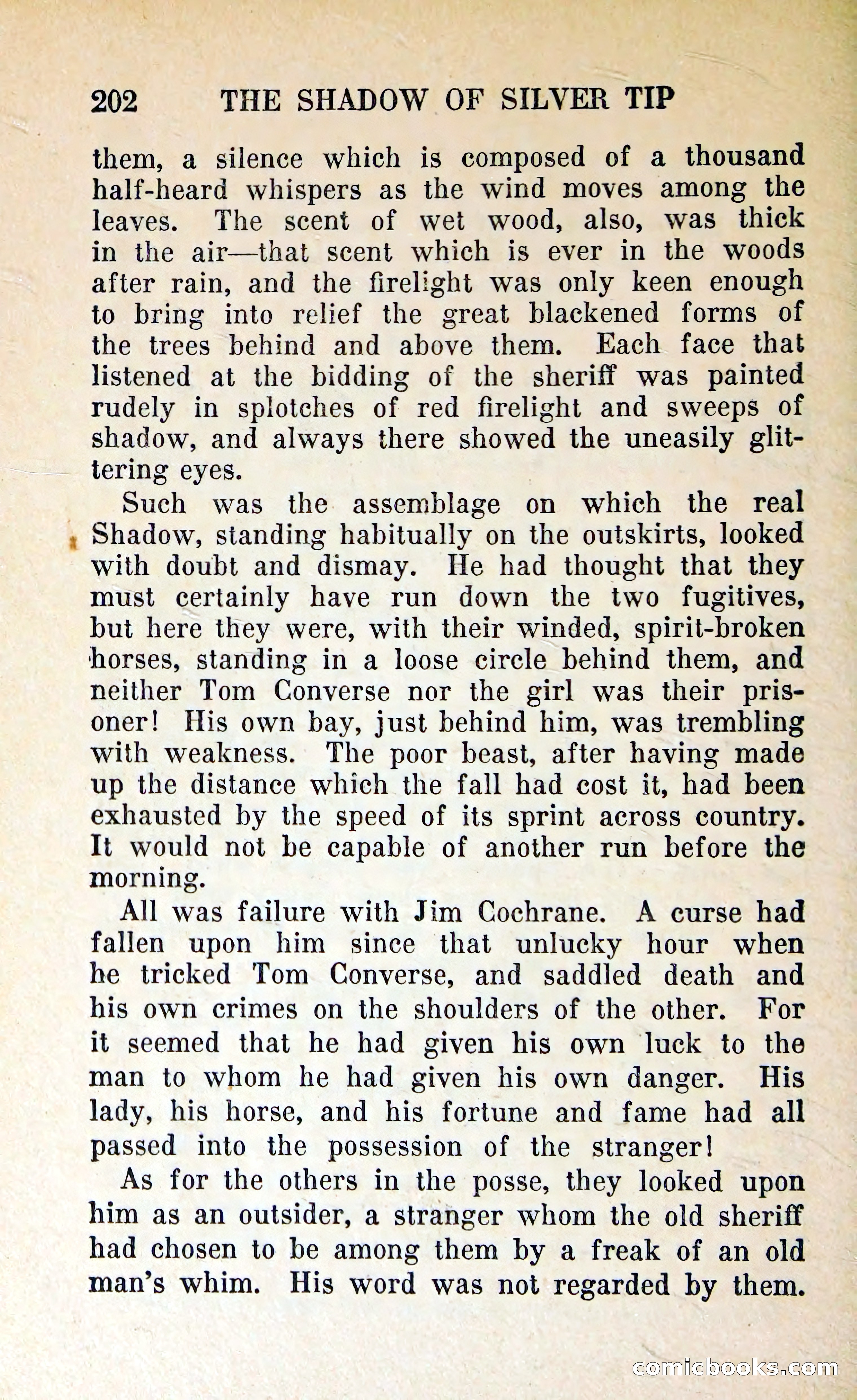 The Shadow of Silver Tip — page 205 of 329
