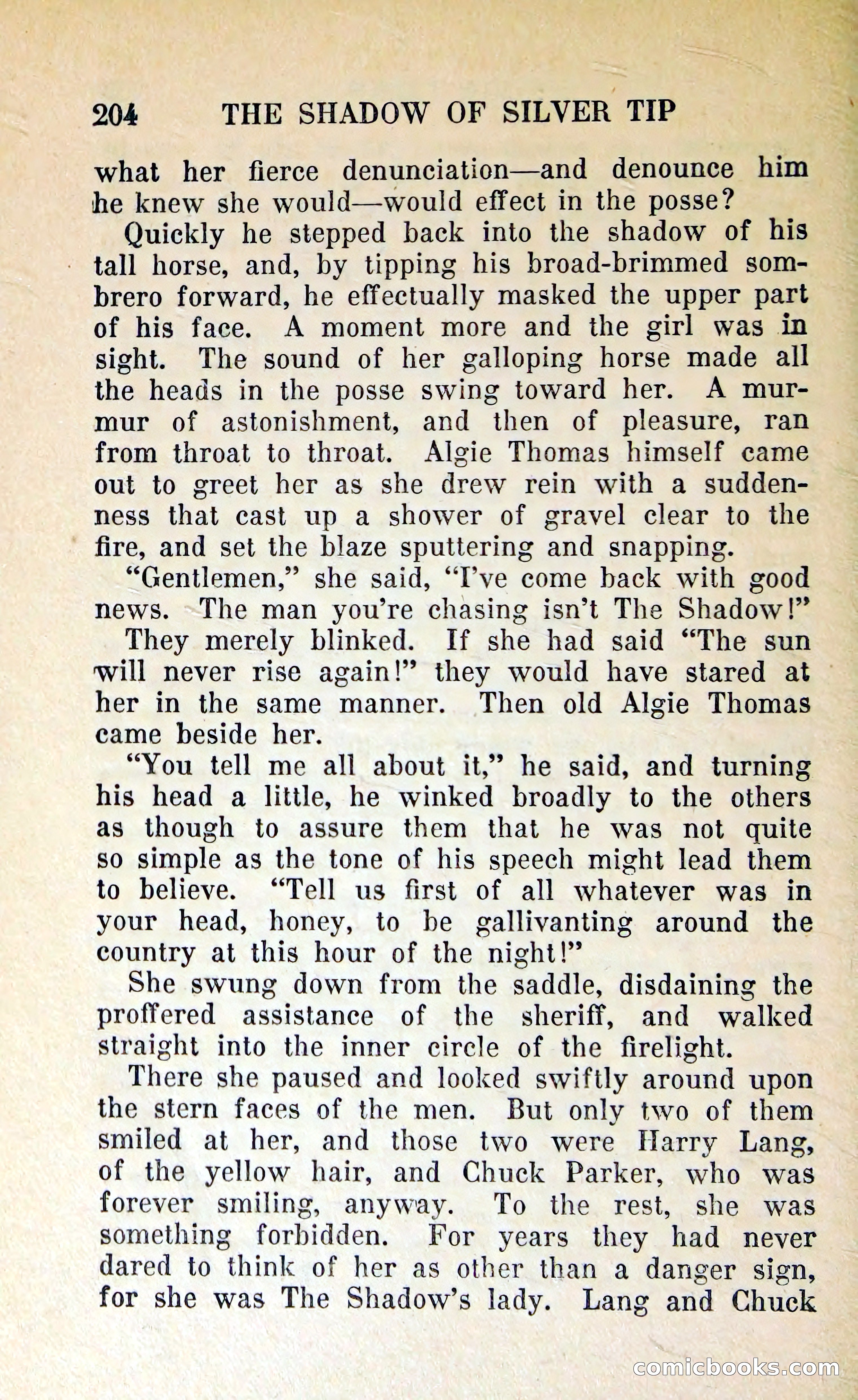 The Shadow of Silver Tip — page 207 of 329