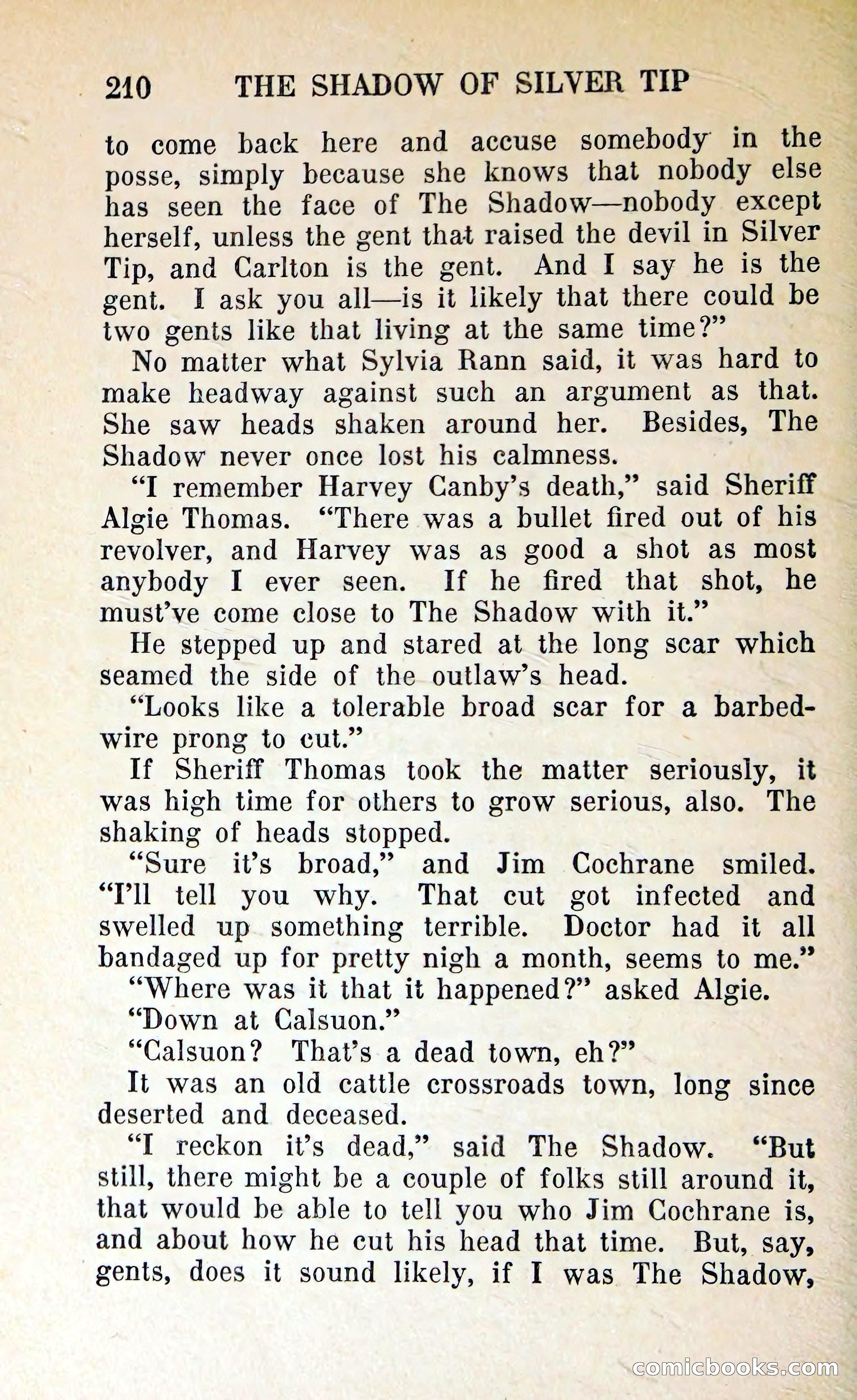 The Shadow of Silver Tip — page 213 of 329