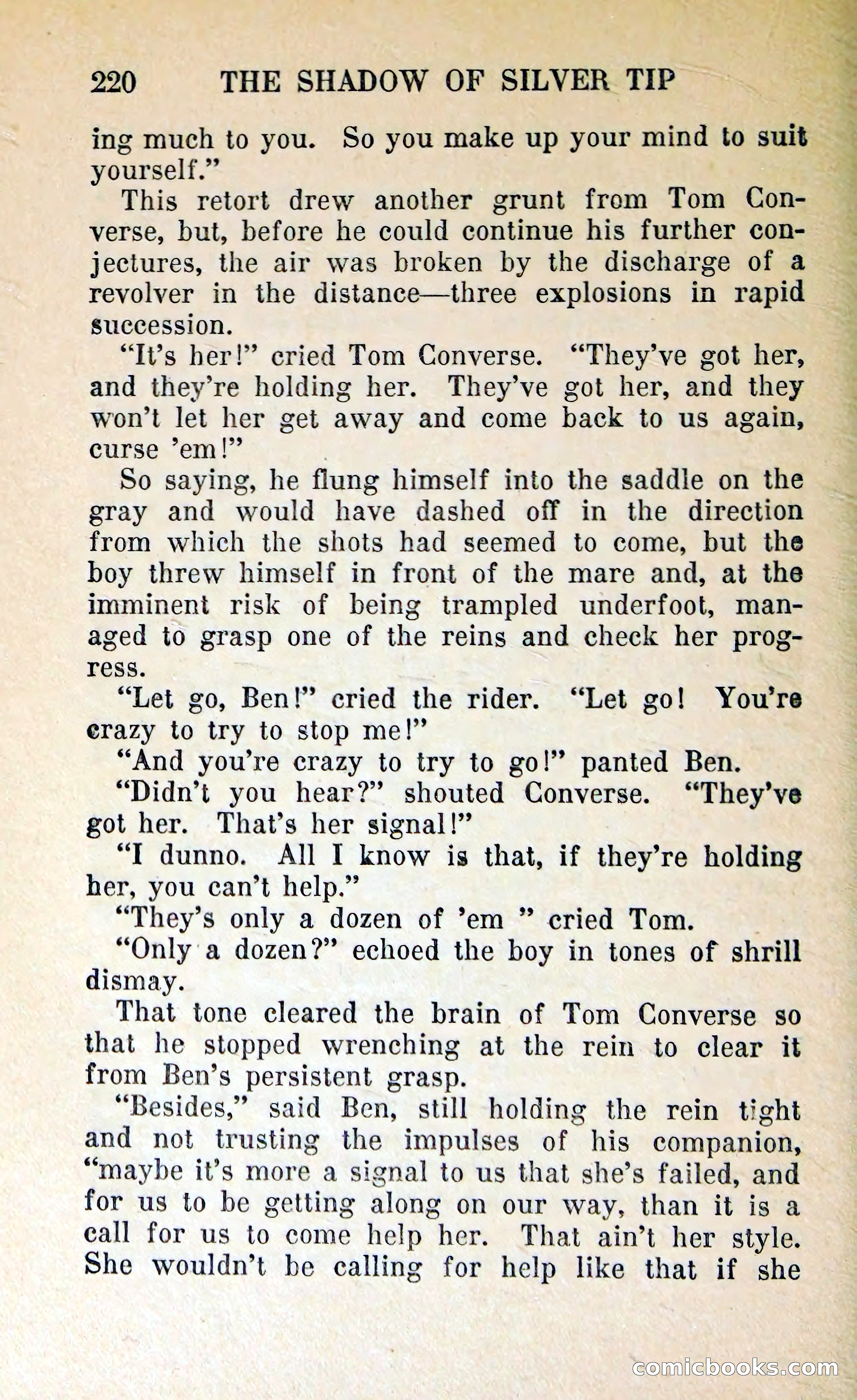 The Shadow of Silver Tip — page 223 of 329