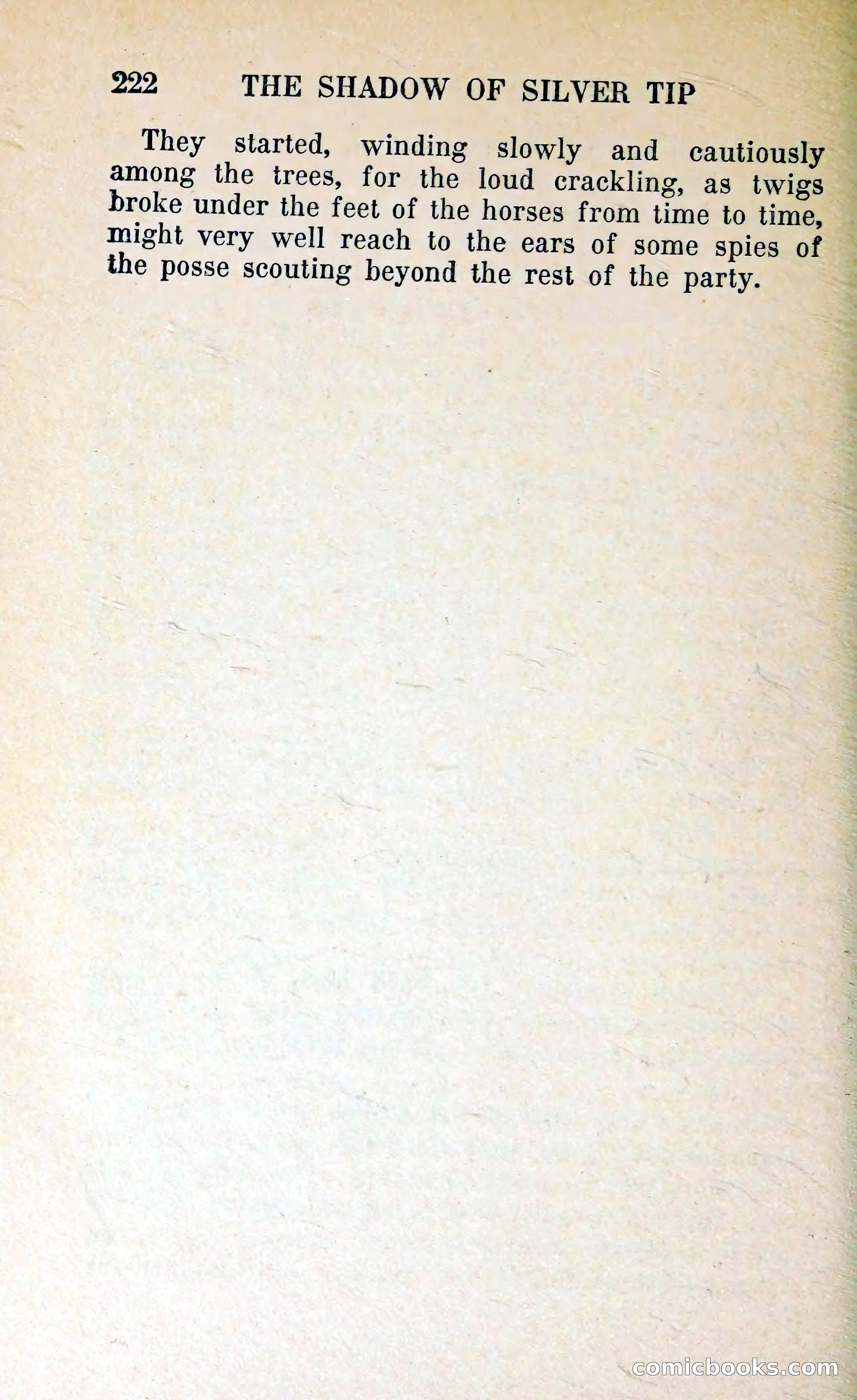 The Shadow of Silver Tip — page 225 of 329