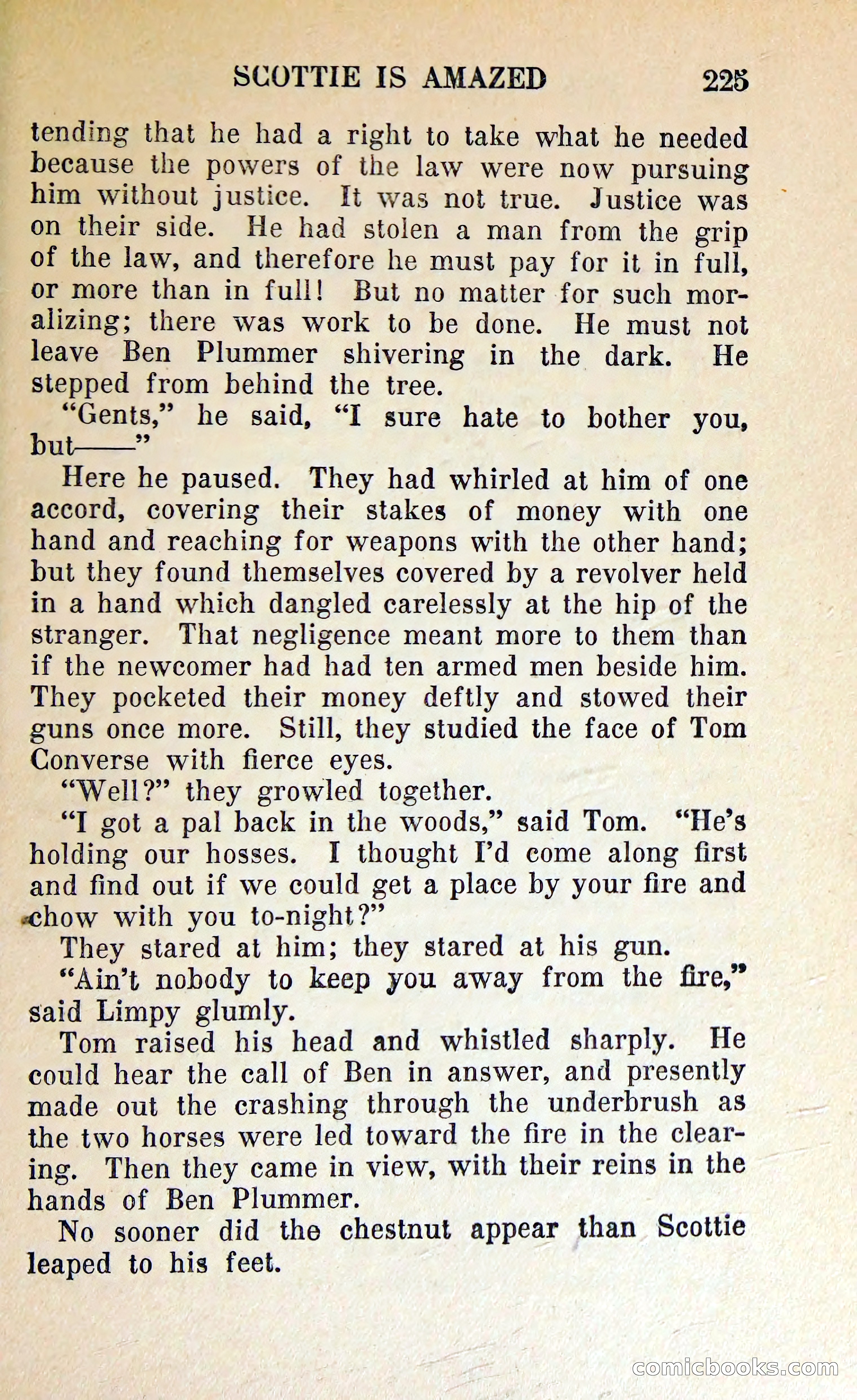 The Shadow of Silver Tip — page 228 of 329