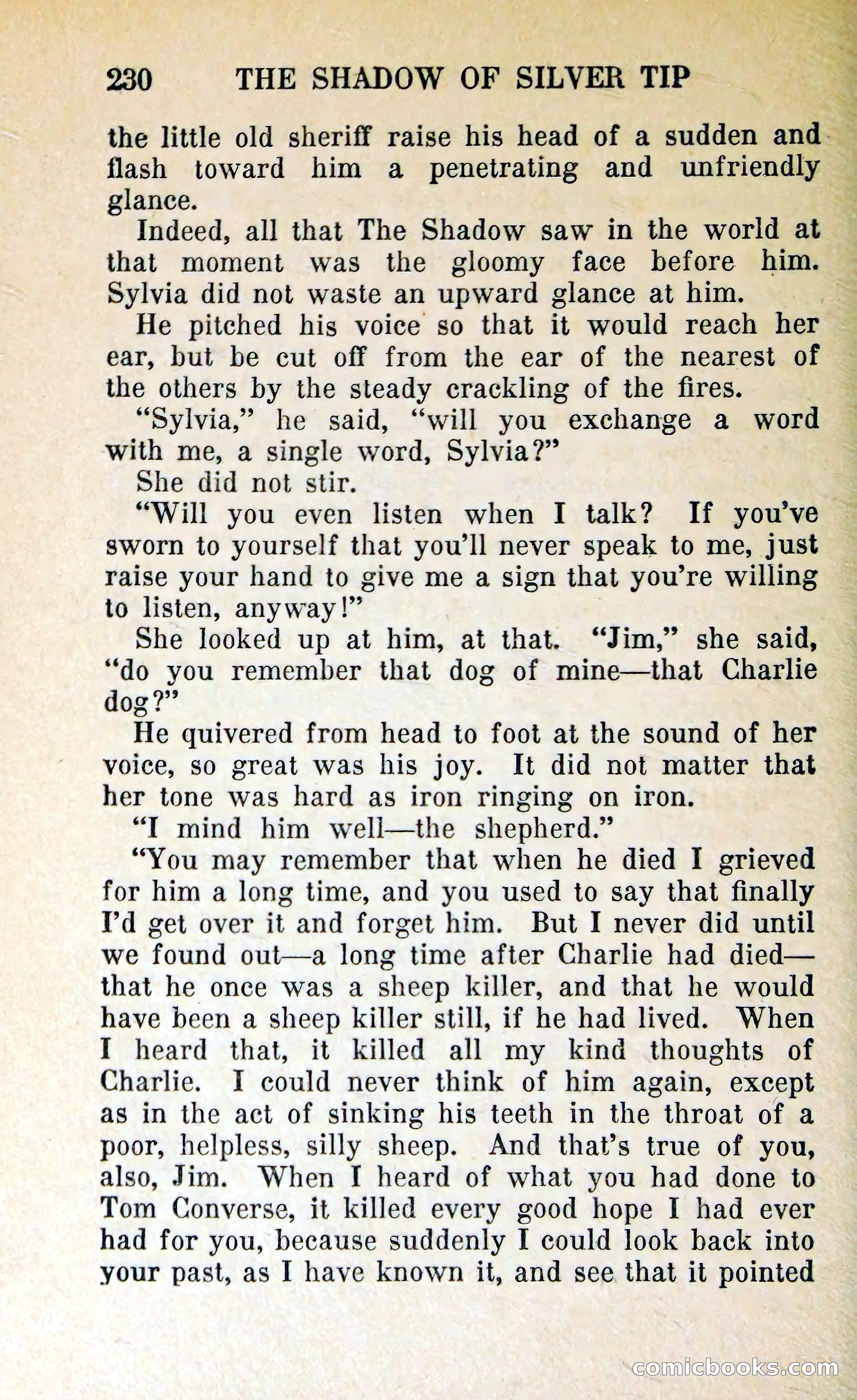 The Shadow of Silver Tip — page 233 of 329