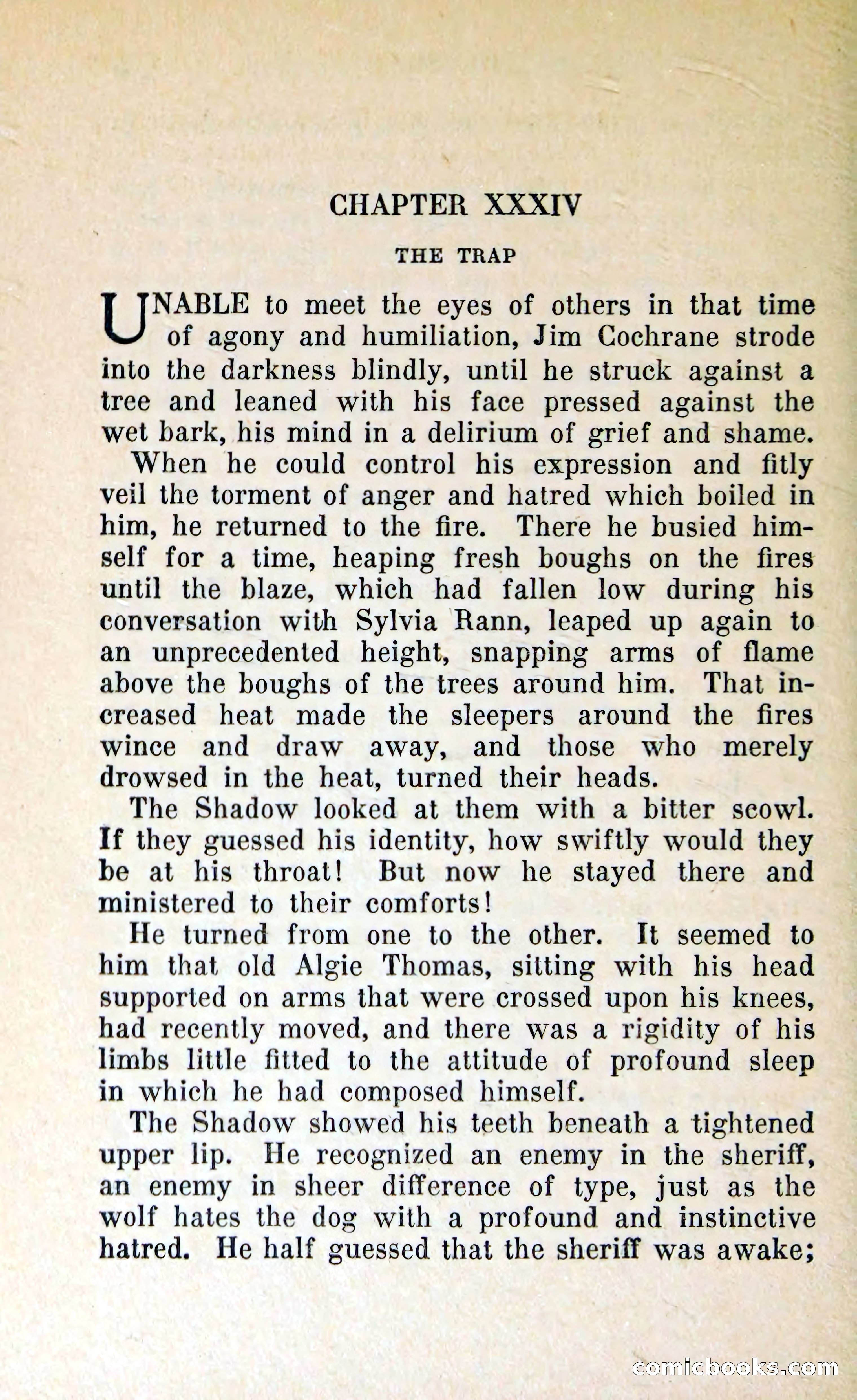 The Shadow of Silver Tip — page 237 of 329