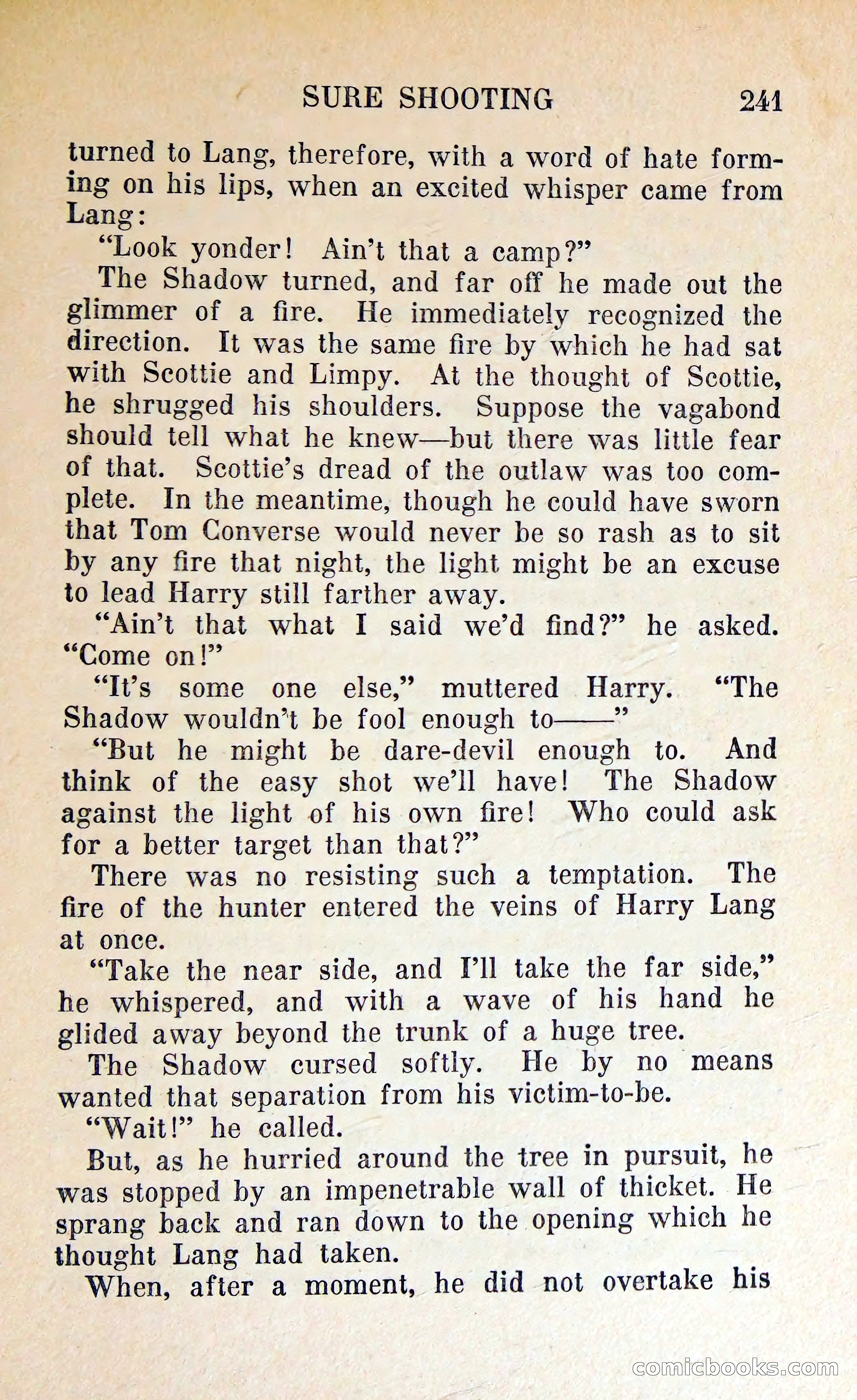 The Shadow of Silver Tip — page 244 of 329