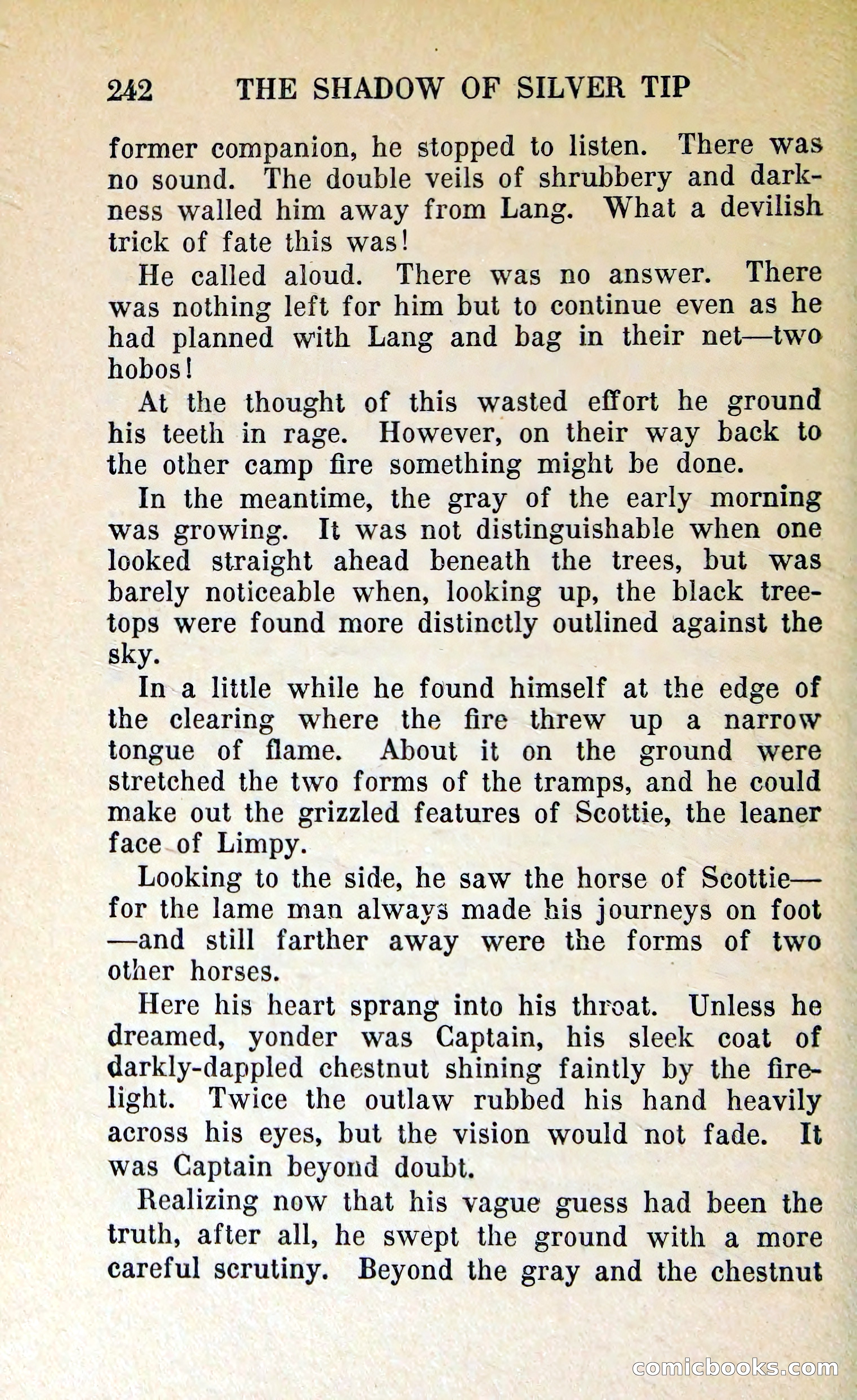 The Shadow of Silver Tip — page 245 of 329