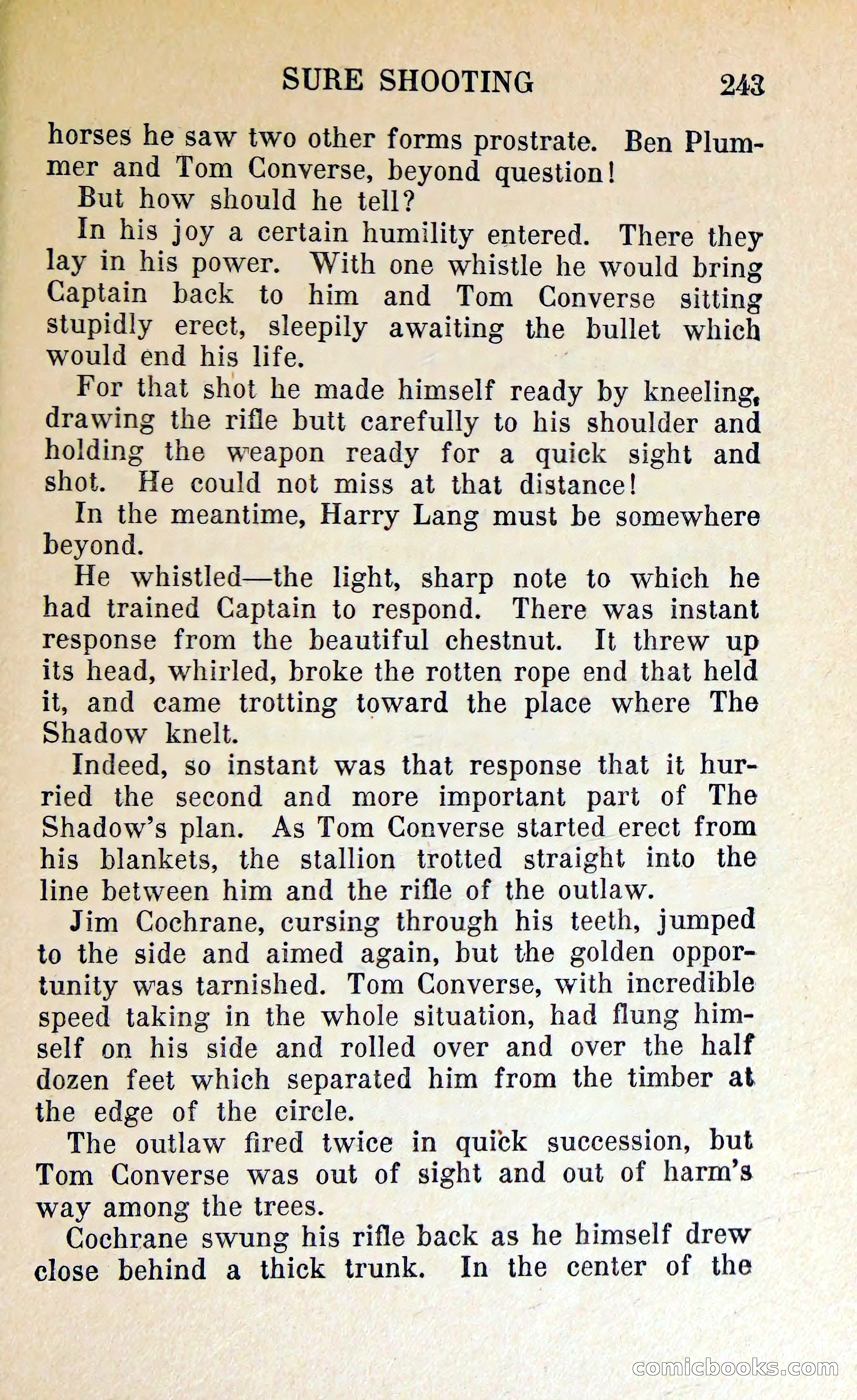 The Shadow of Silver Tip — page 246 of 329