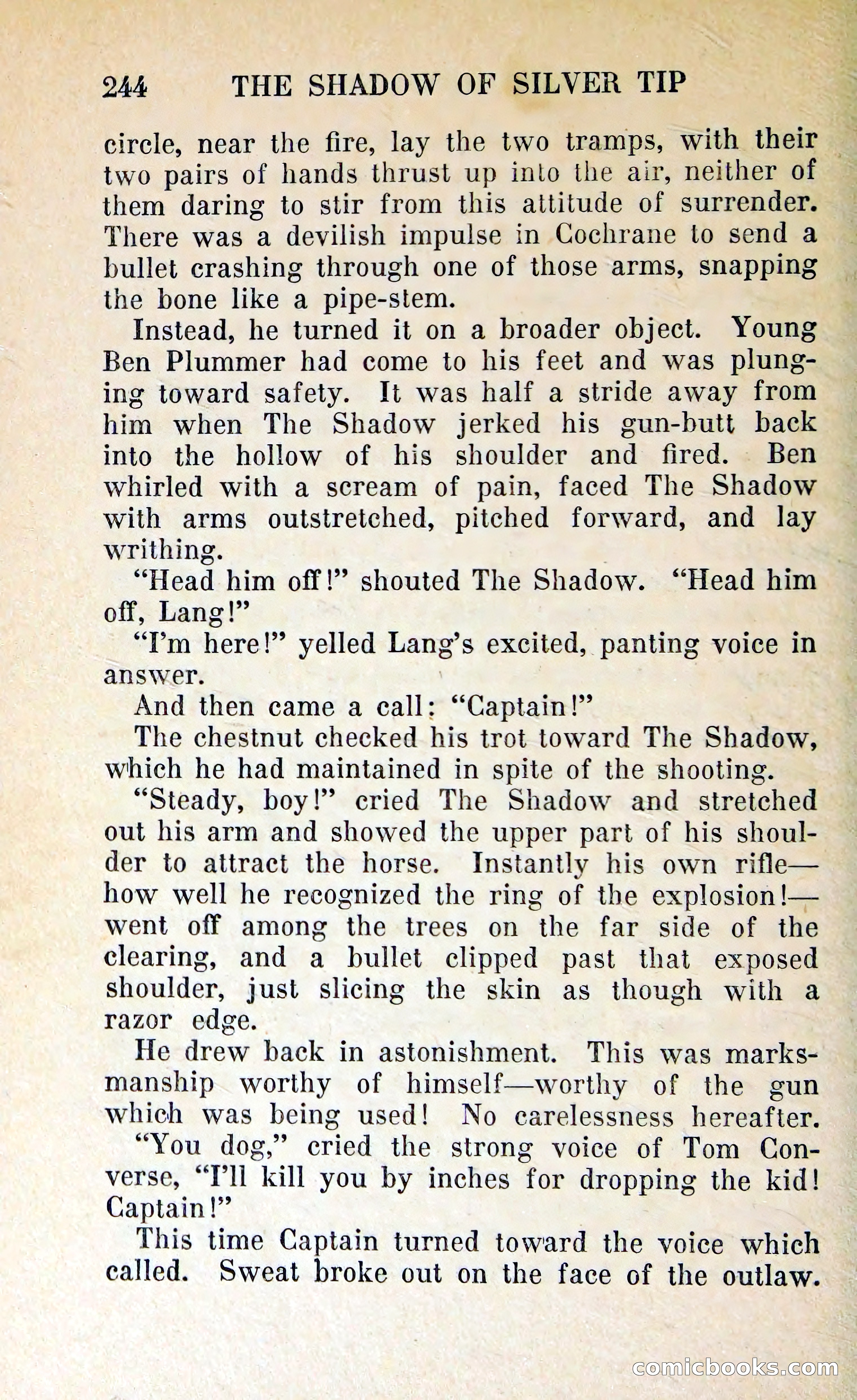 The Shadow of Silver Tip — page 247 of 329