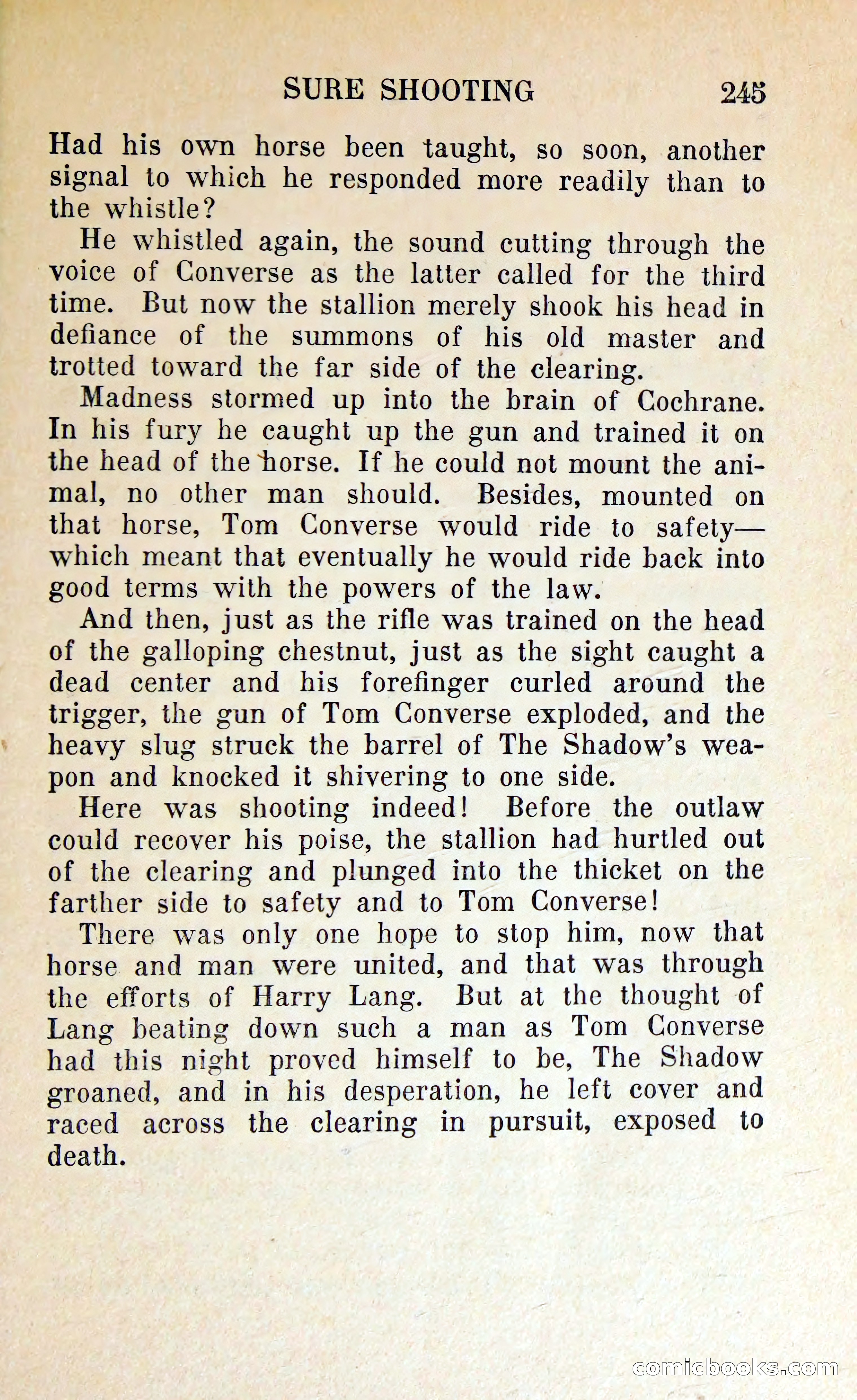 The Shadow of Silver Tip — page 248 of 329