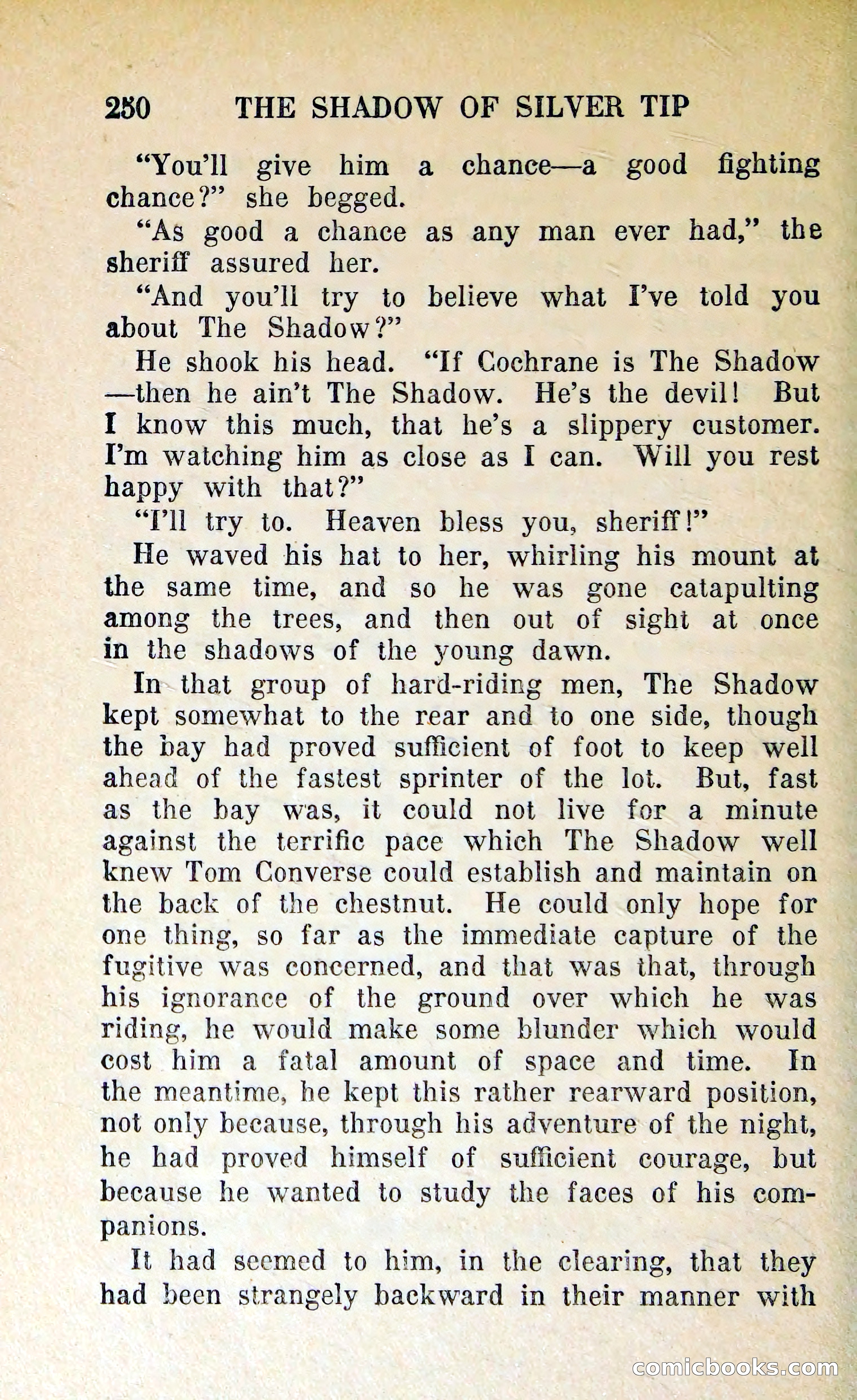 The Shadow of Silver Tip — page 253 of 329