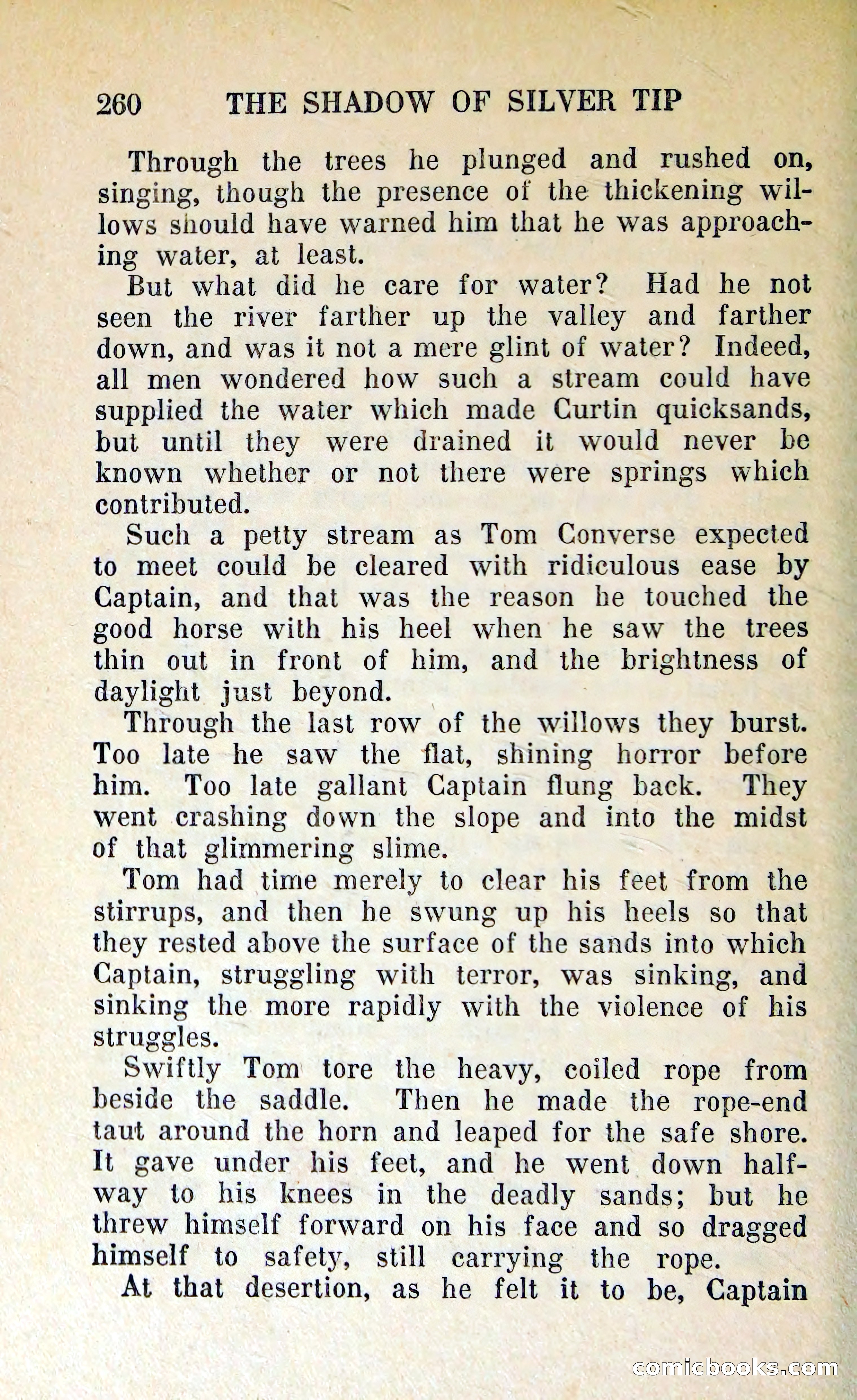 The Shadow of Silver Tip — page 263 of 329