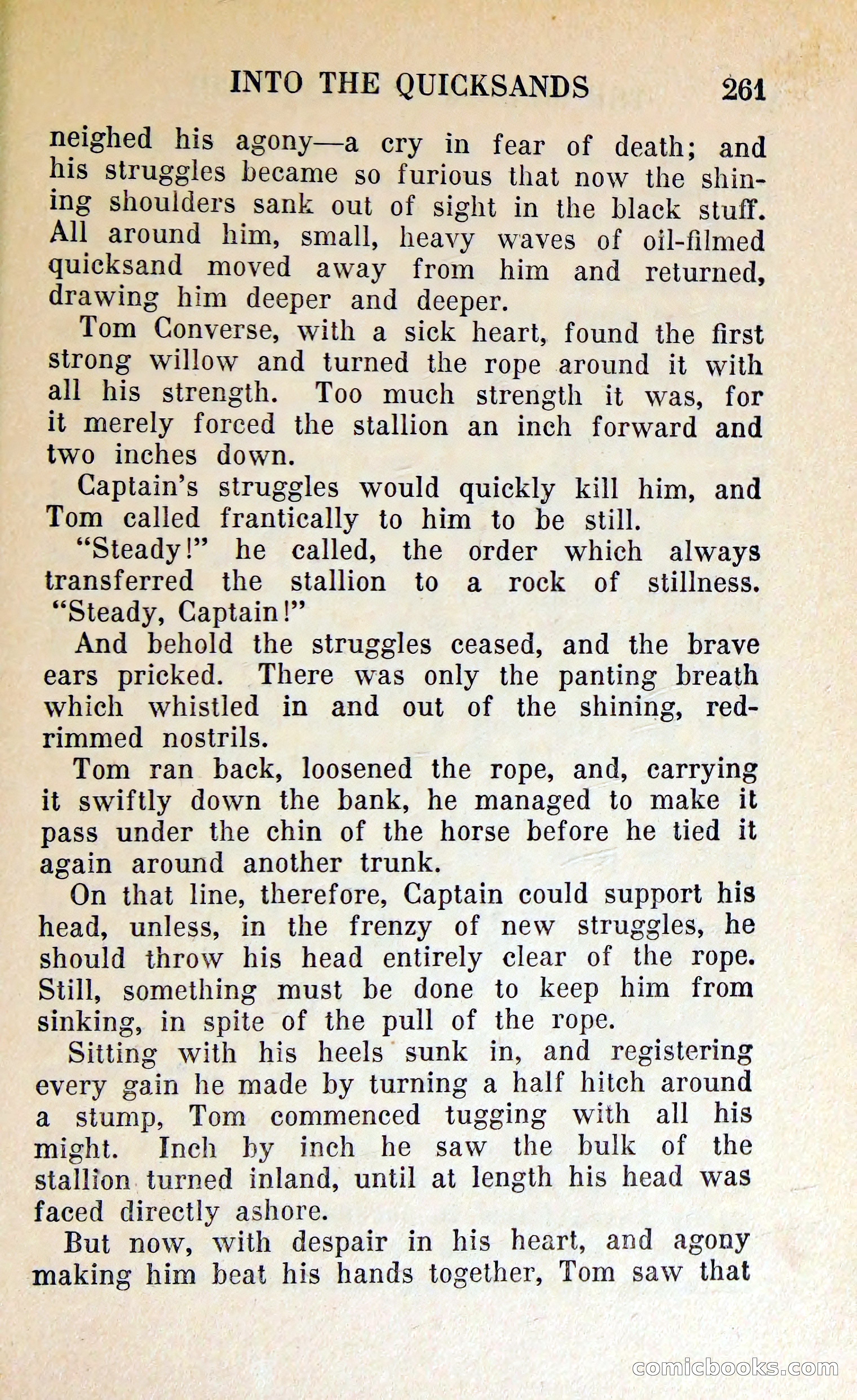 The Shadow of Silver Tip — page 264 of 329