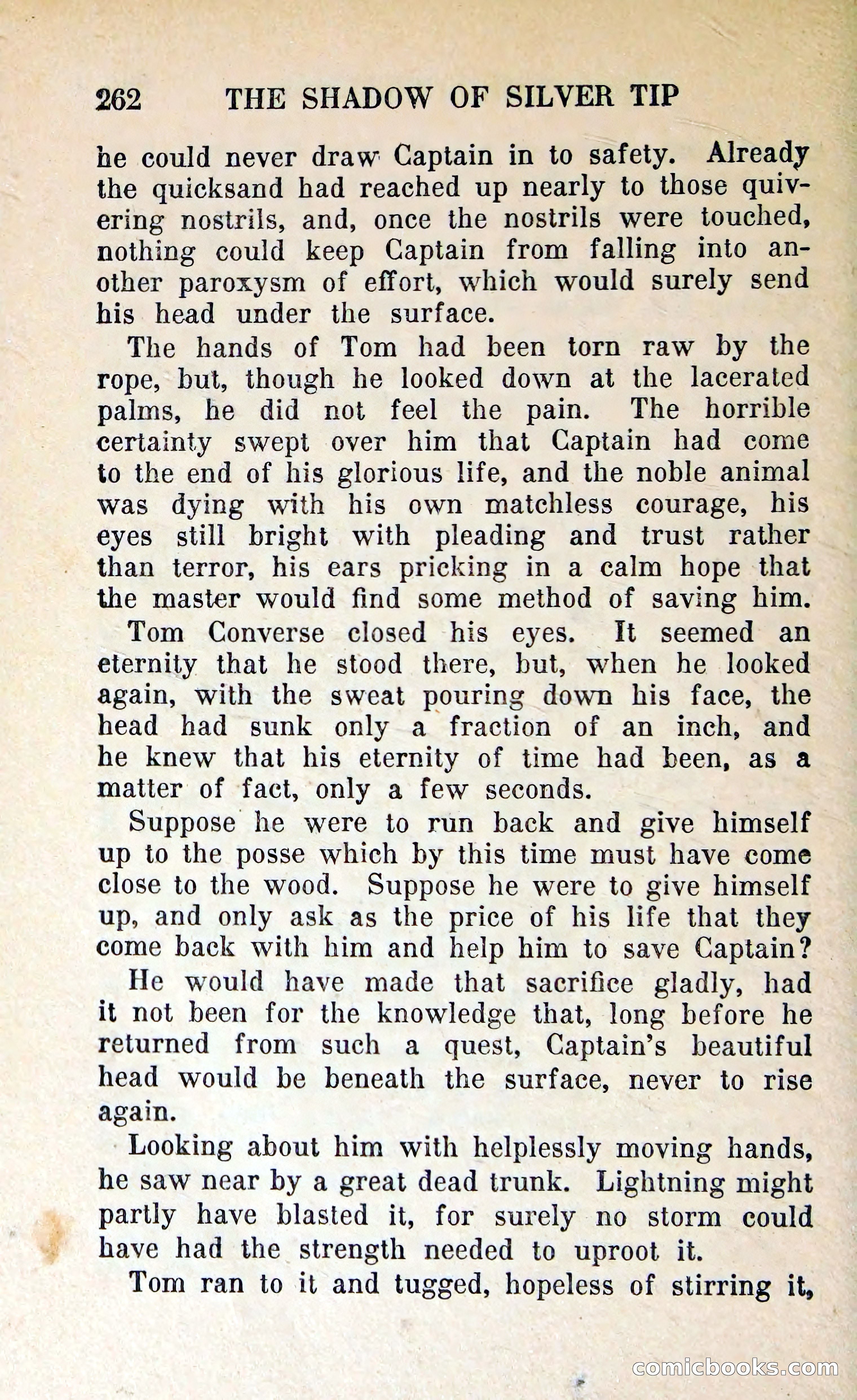 The Shadow of Silver Tip — page 265 of 329