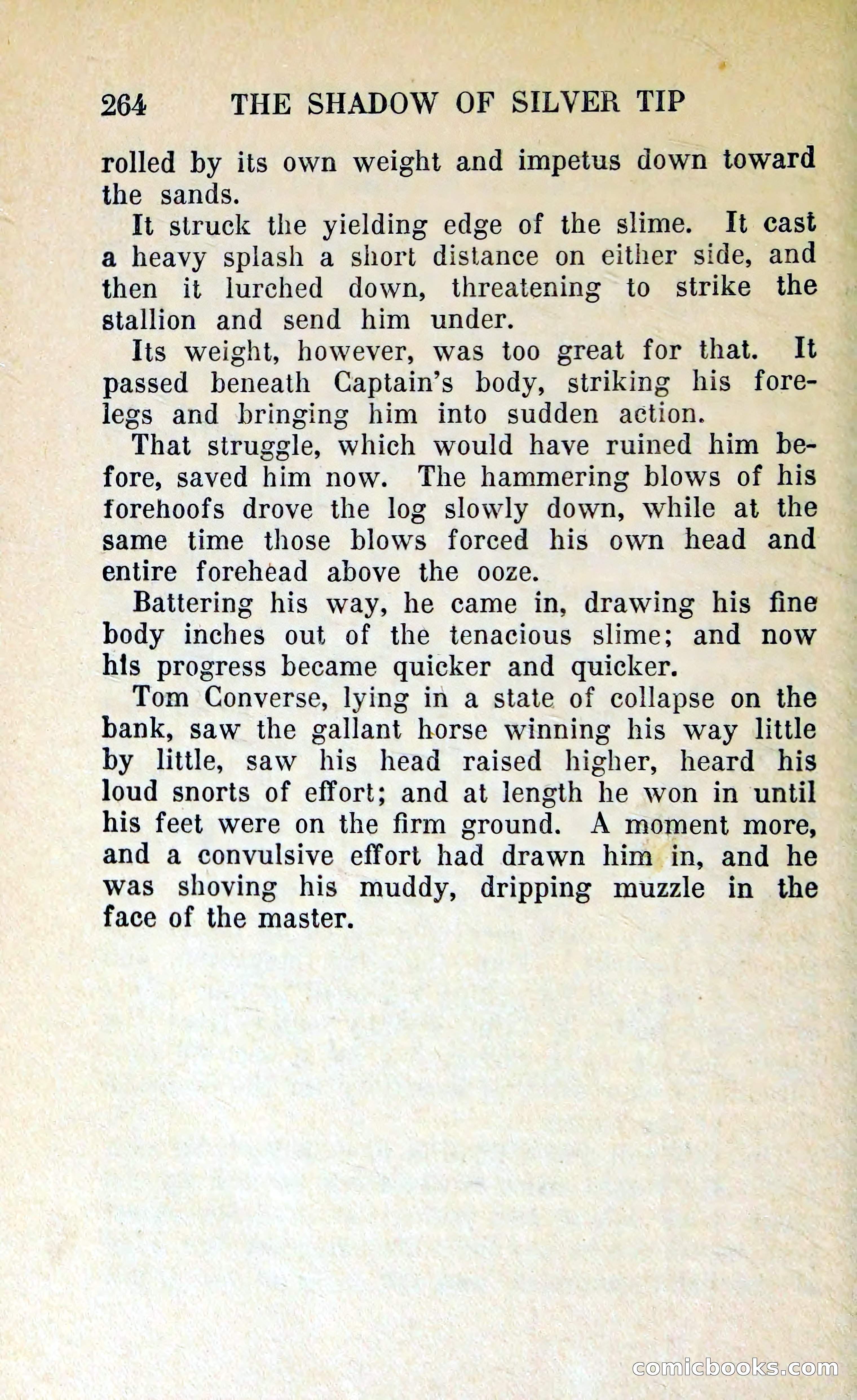 The Shadow of Silver Tip — page 267 of 329