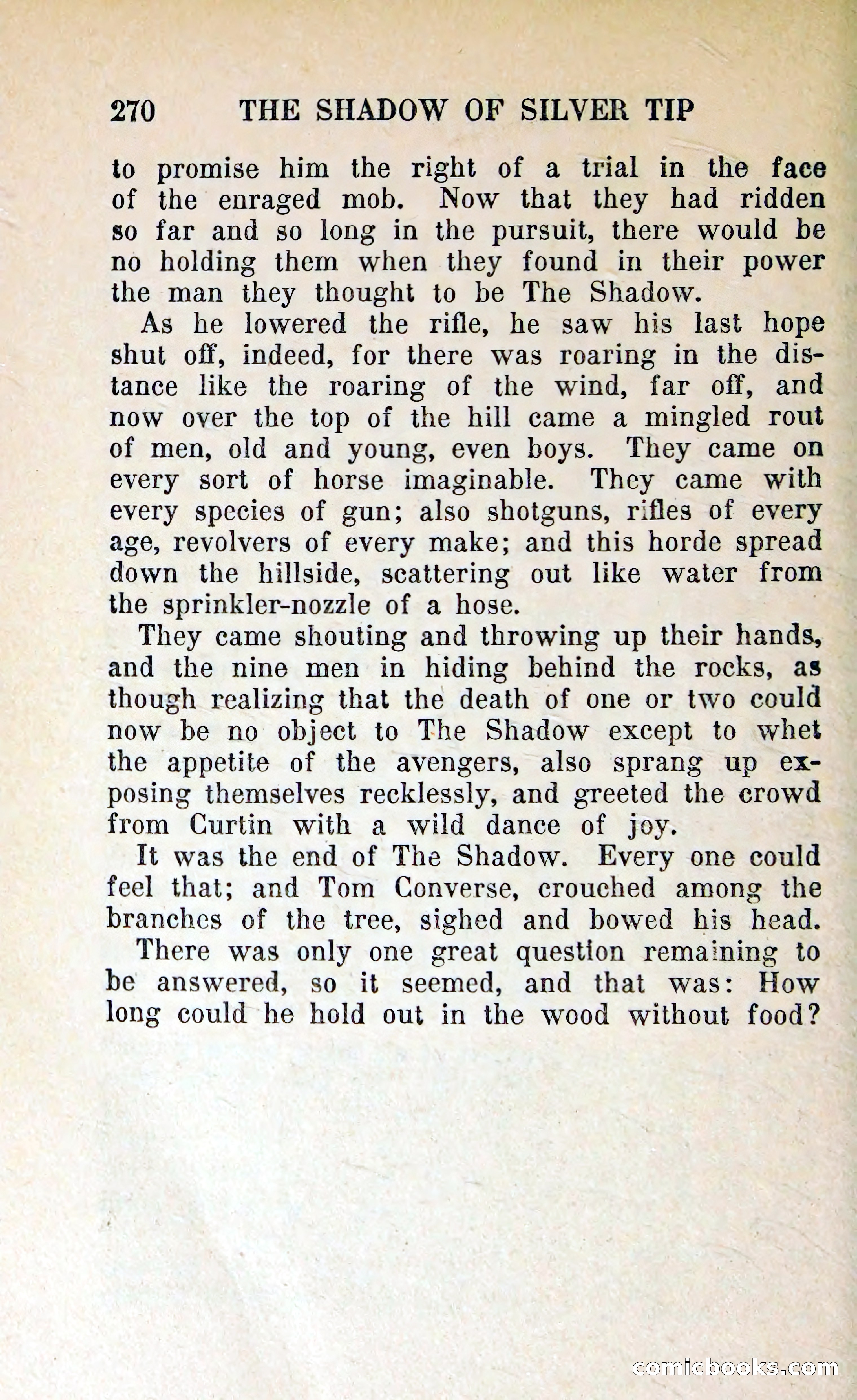 The Shadow of Silver Tip — page 273 of 329