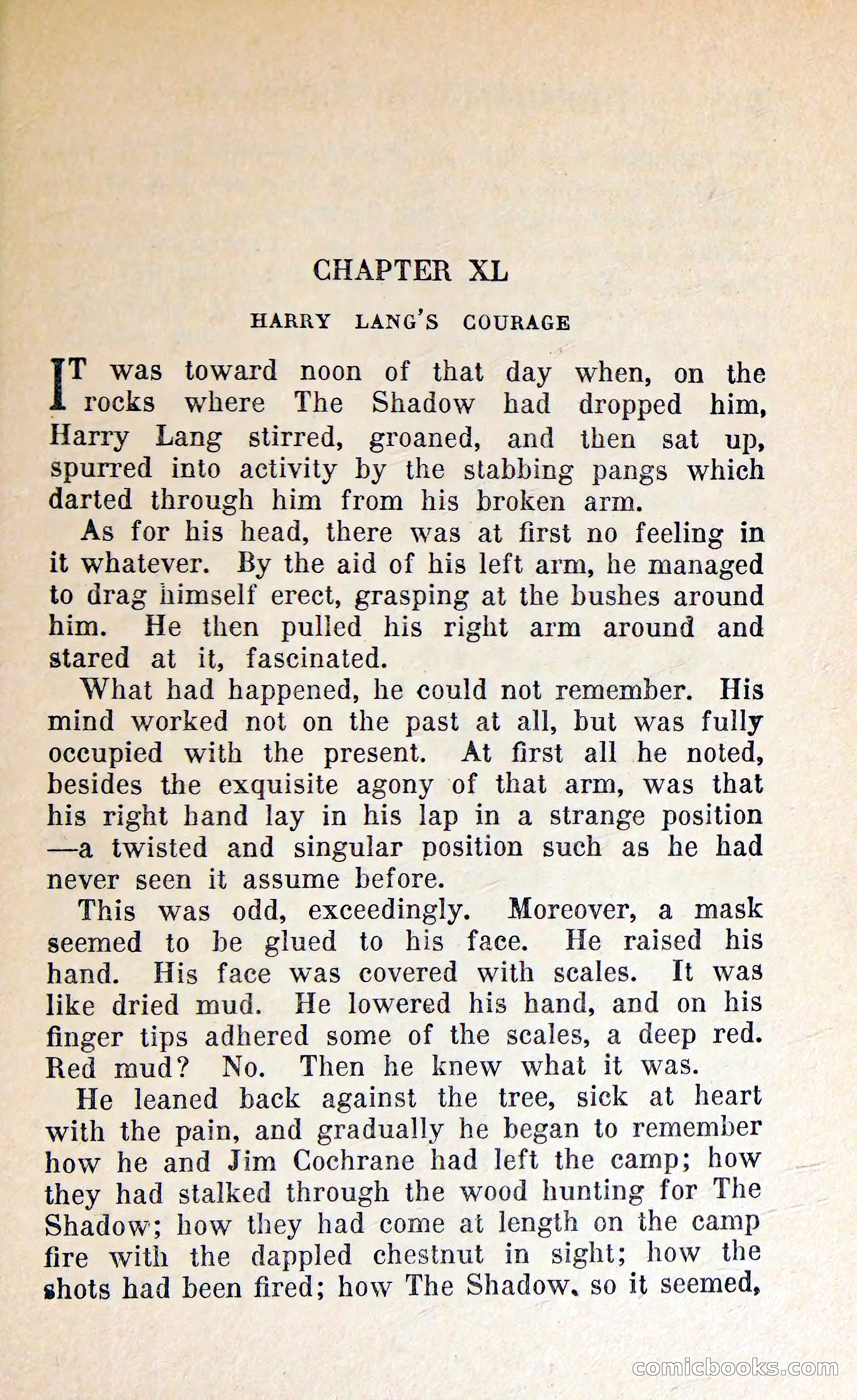 The Shadow of Silver Tip — page 274 of 329