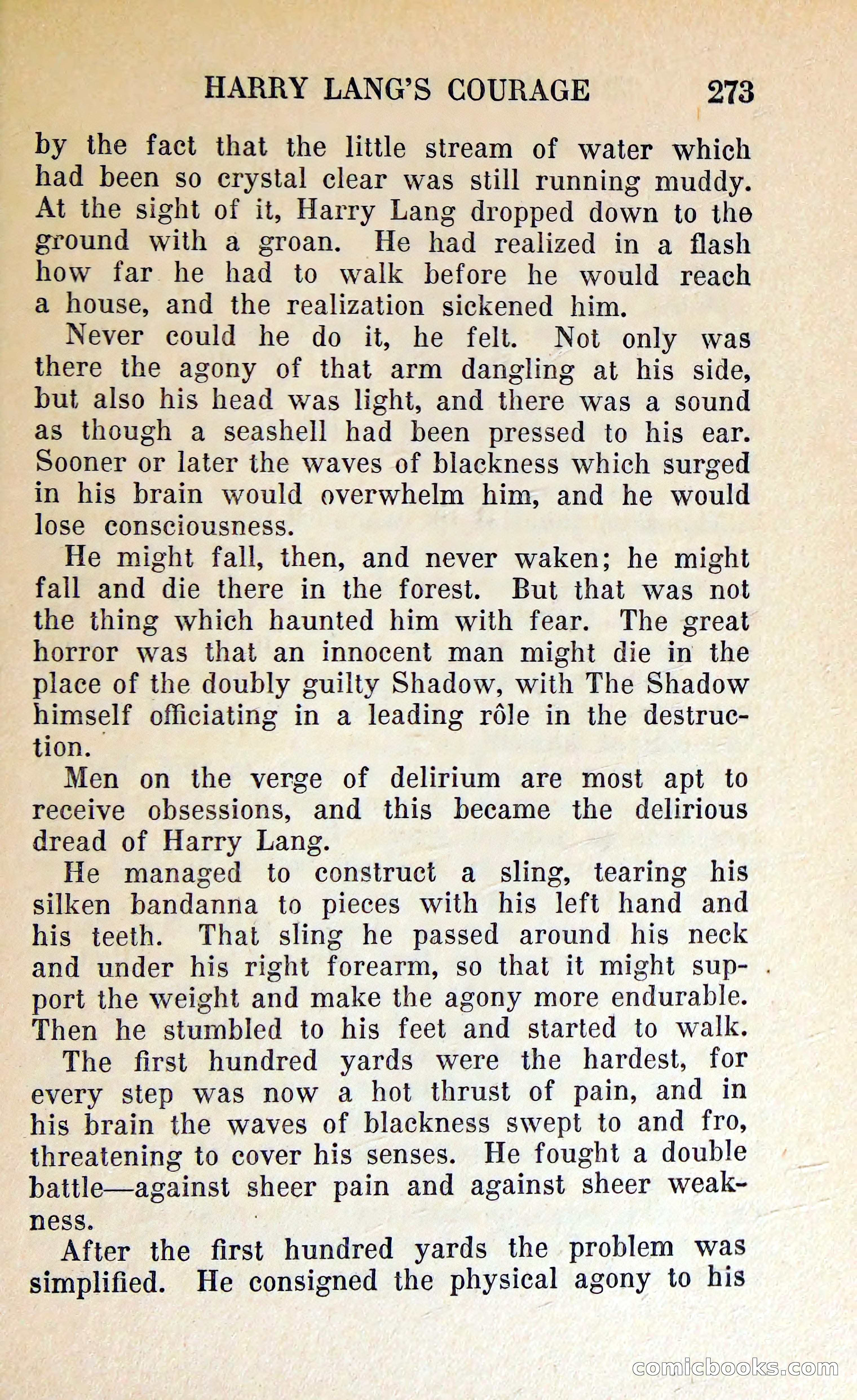 The Shadow of Silver Tip — page 276 of 329