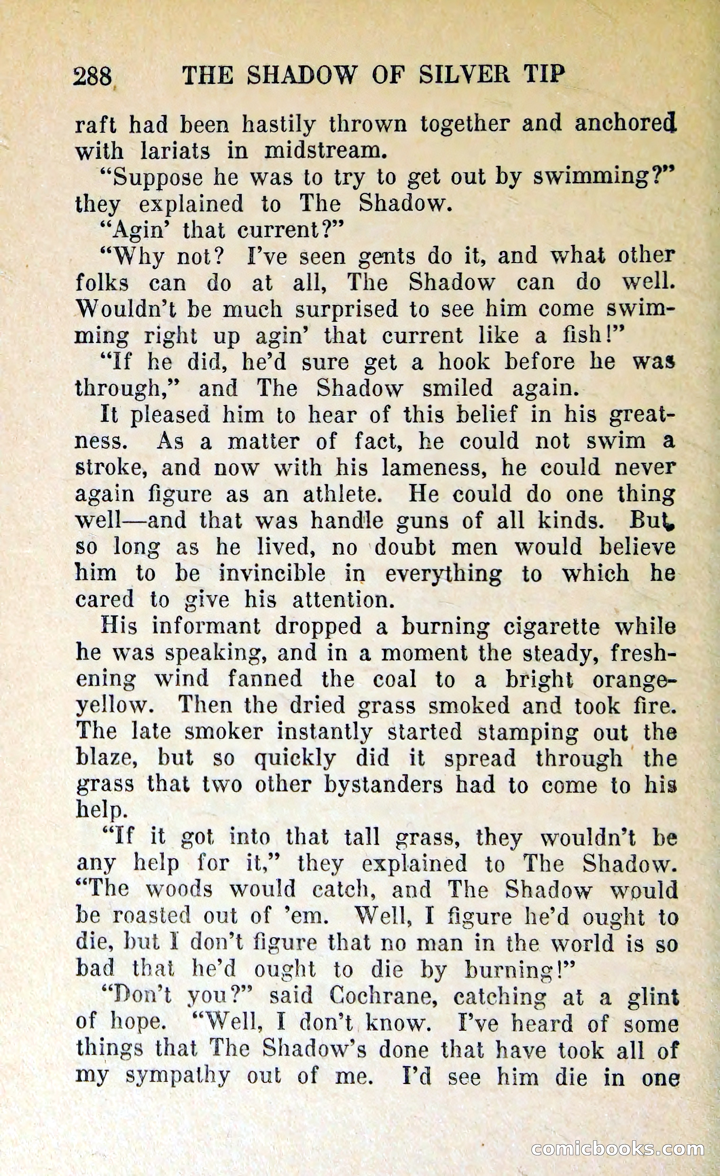 The Shadow of Silver Tip — page 291 of 329