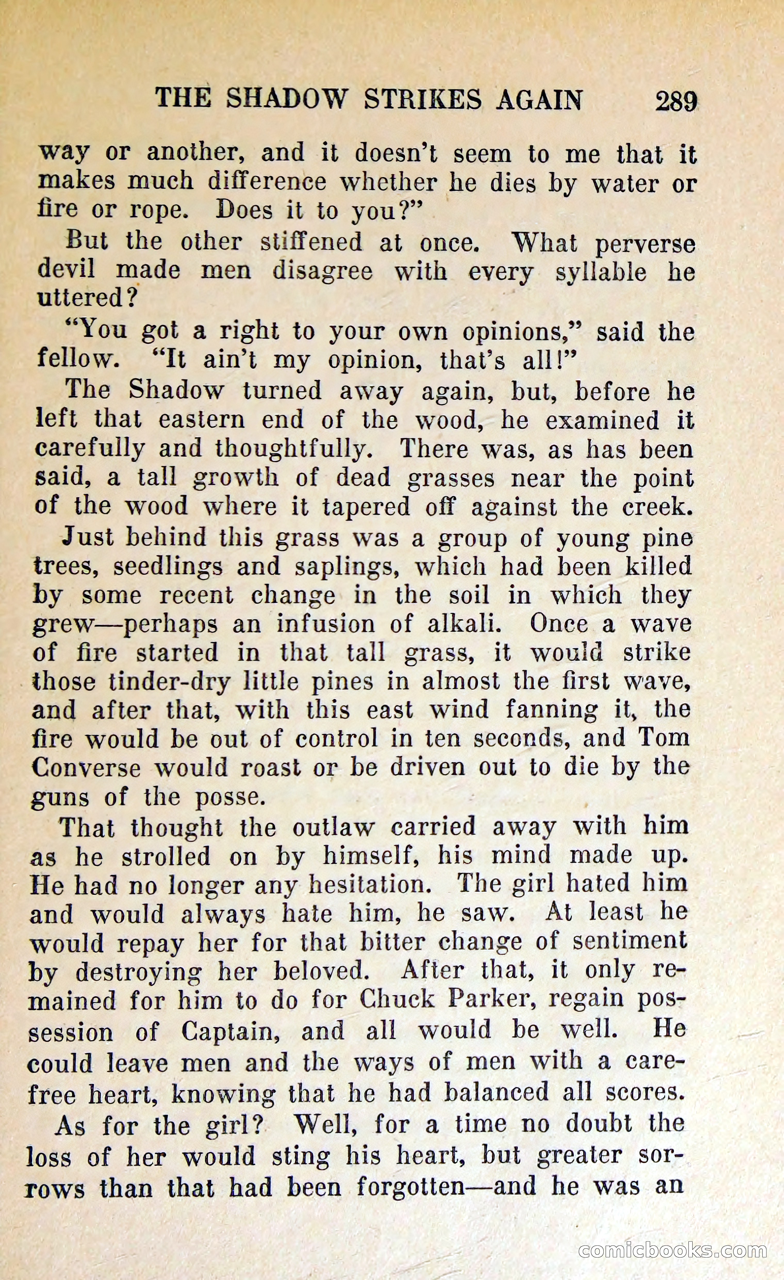 The Shadow of Silver Tip — page 292 of 329