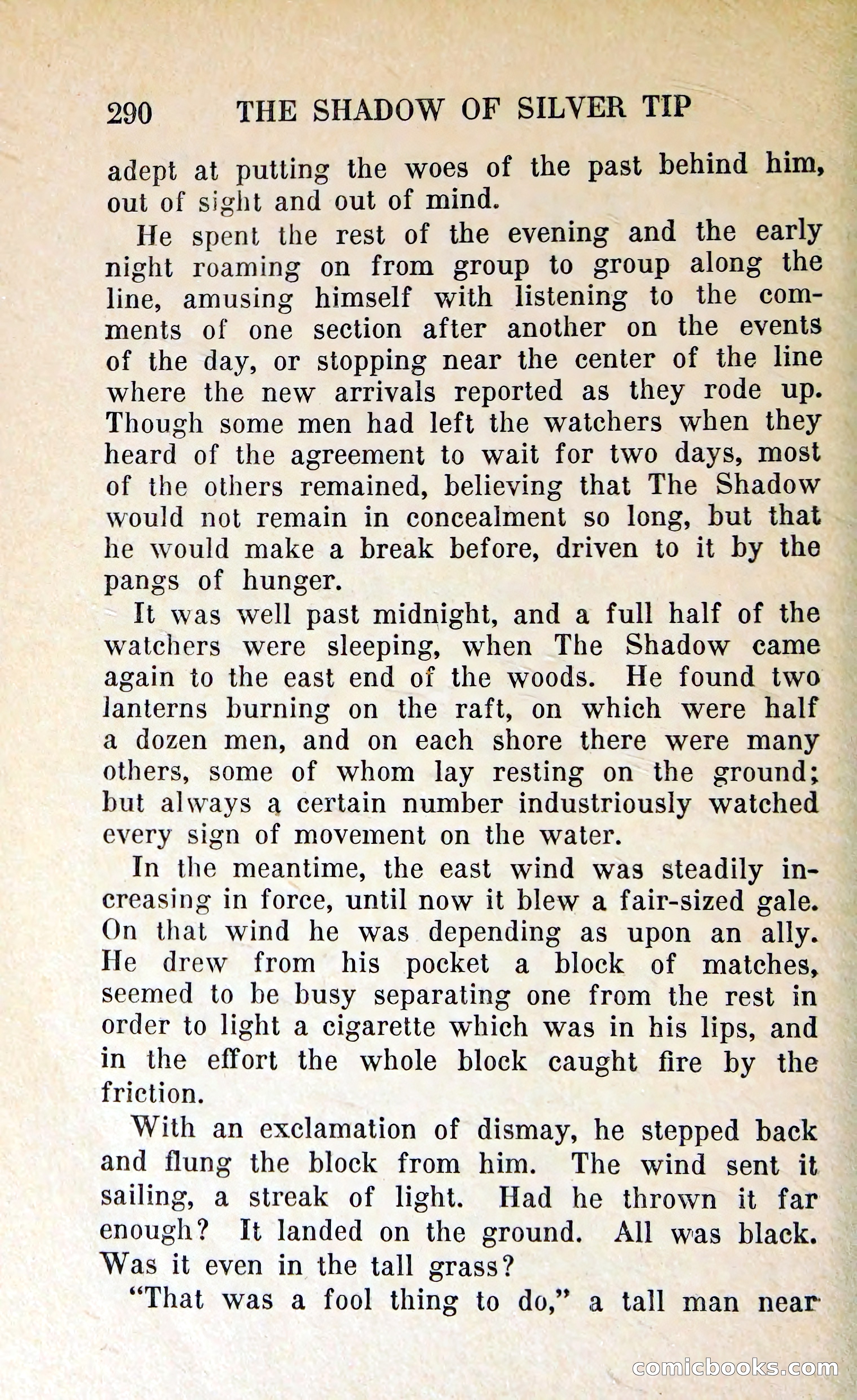 The Shadow of Silver Tip — page 293 of 329