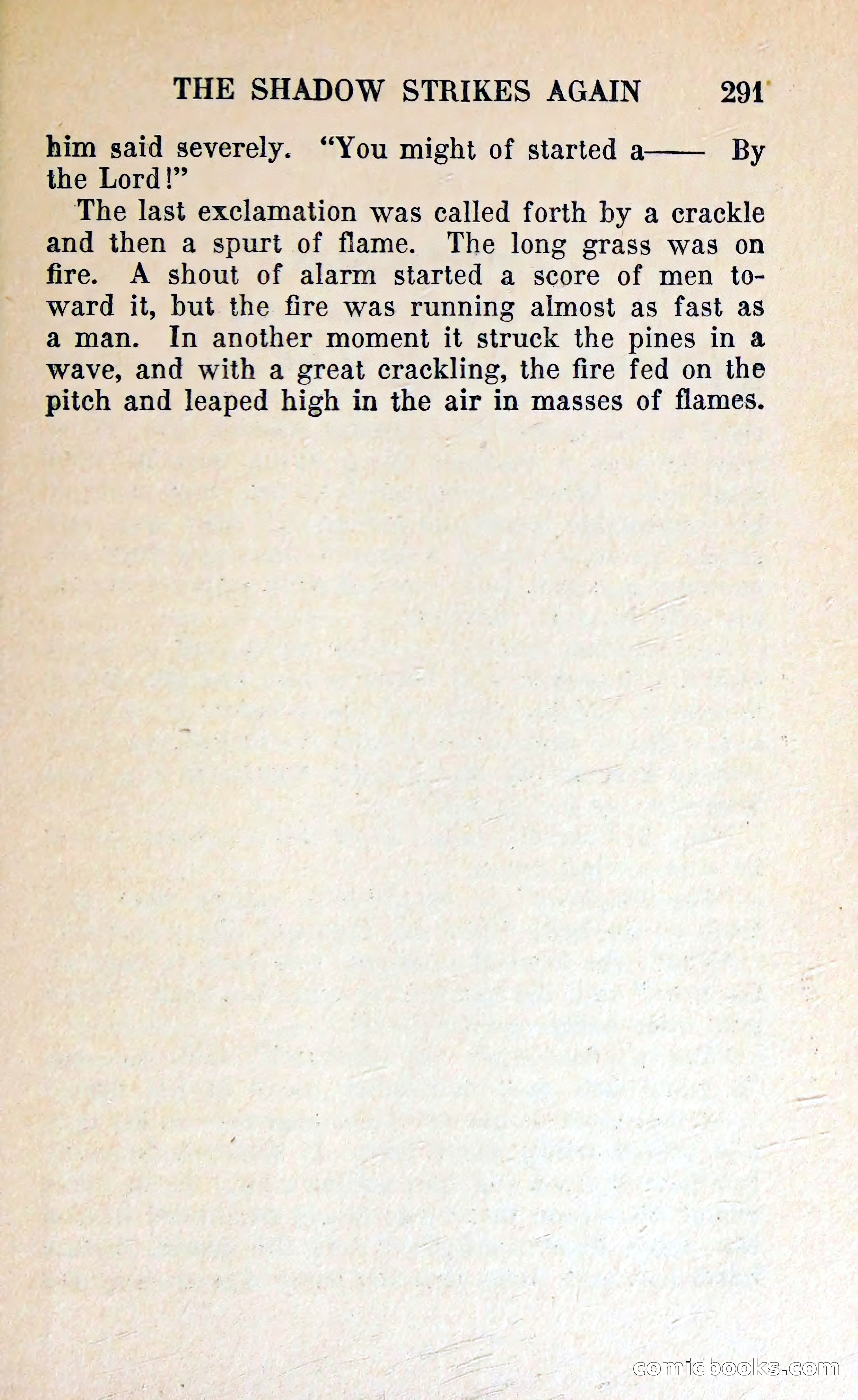 The Shadow of Silver Tip — page 294 of 329