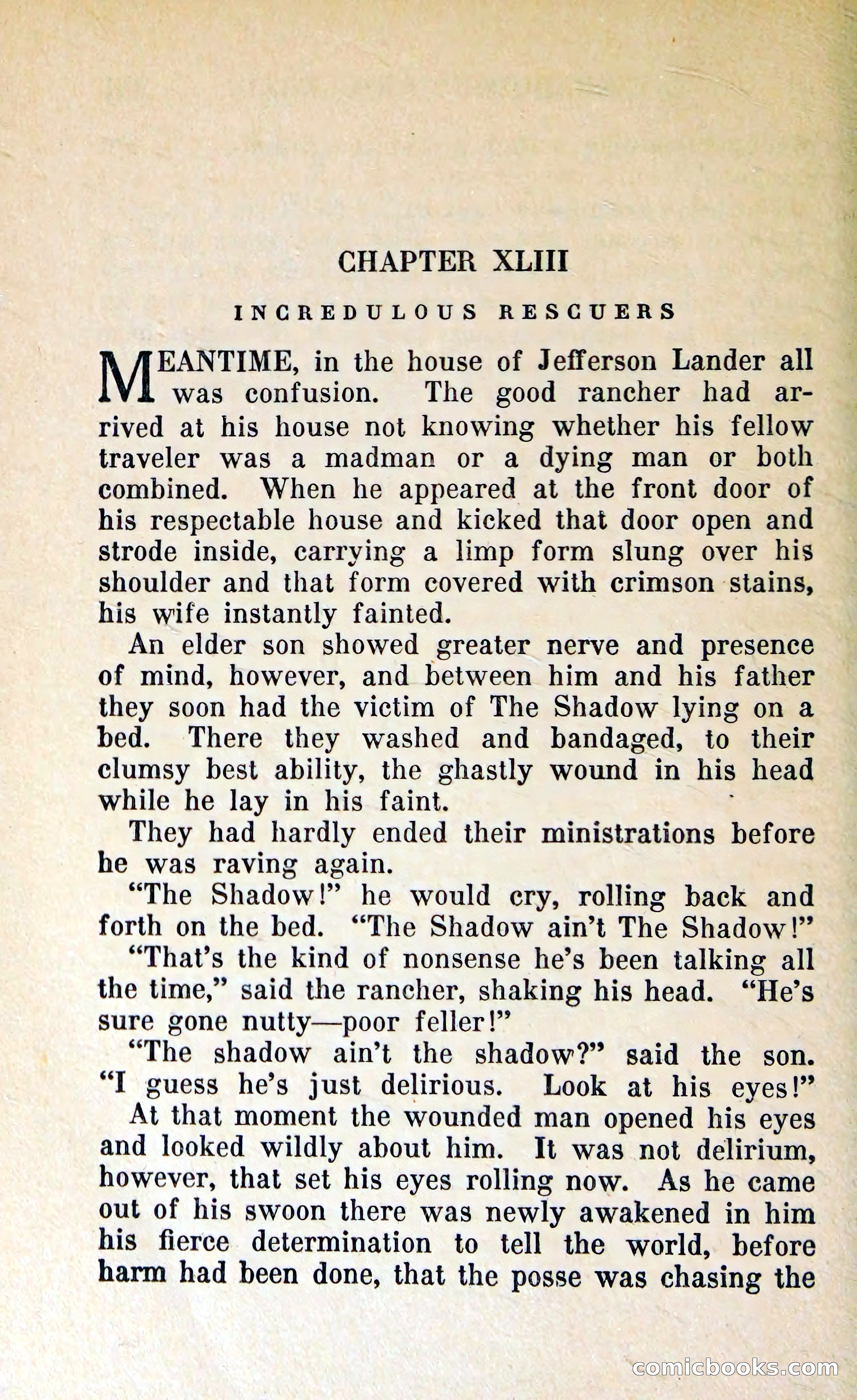 The Shadow of Silver Tip — page 295 of 329