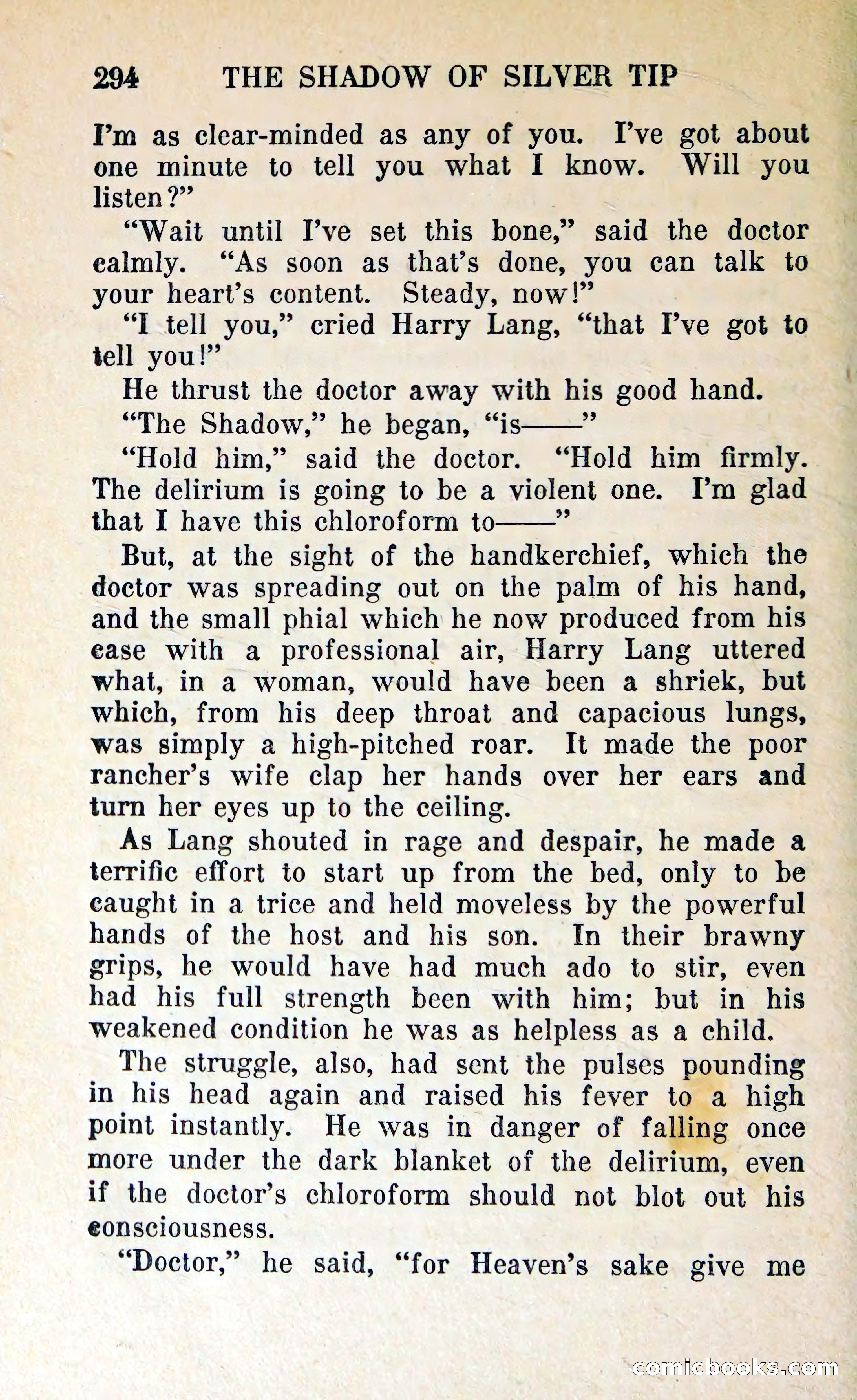 The Shadow of Silver Tip — page 297 of 329