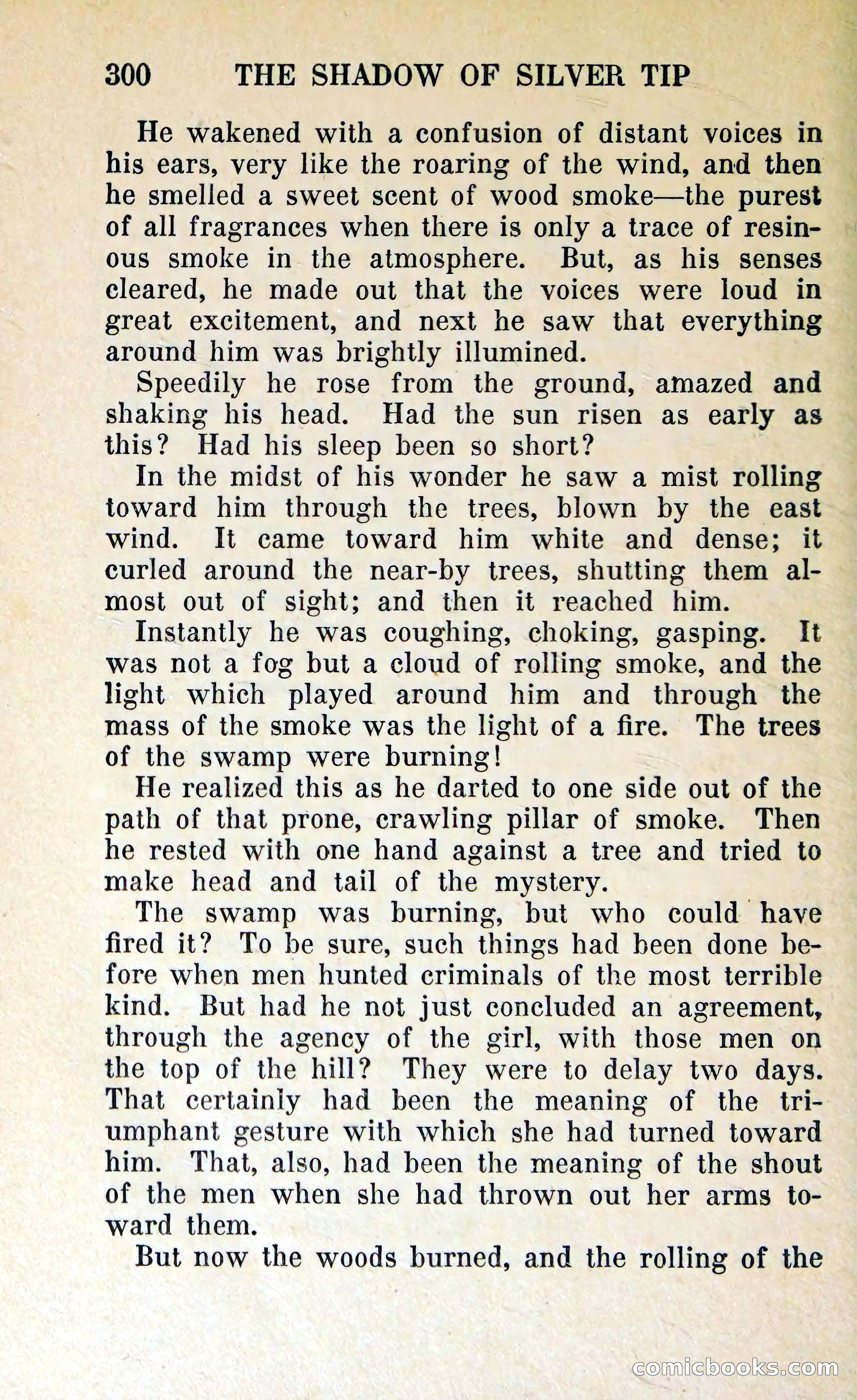 The Shadow of Silver Tip — page 303 of 329