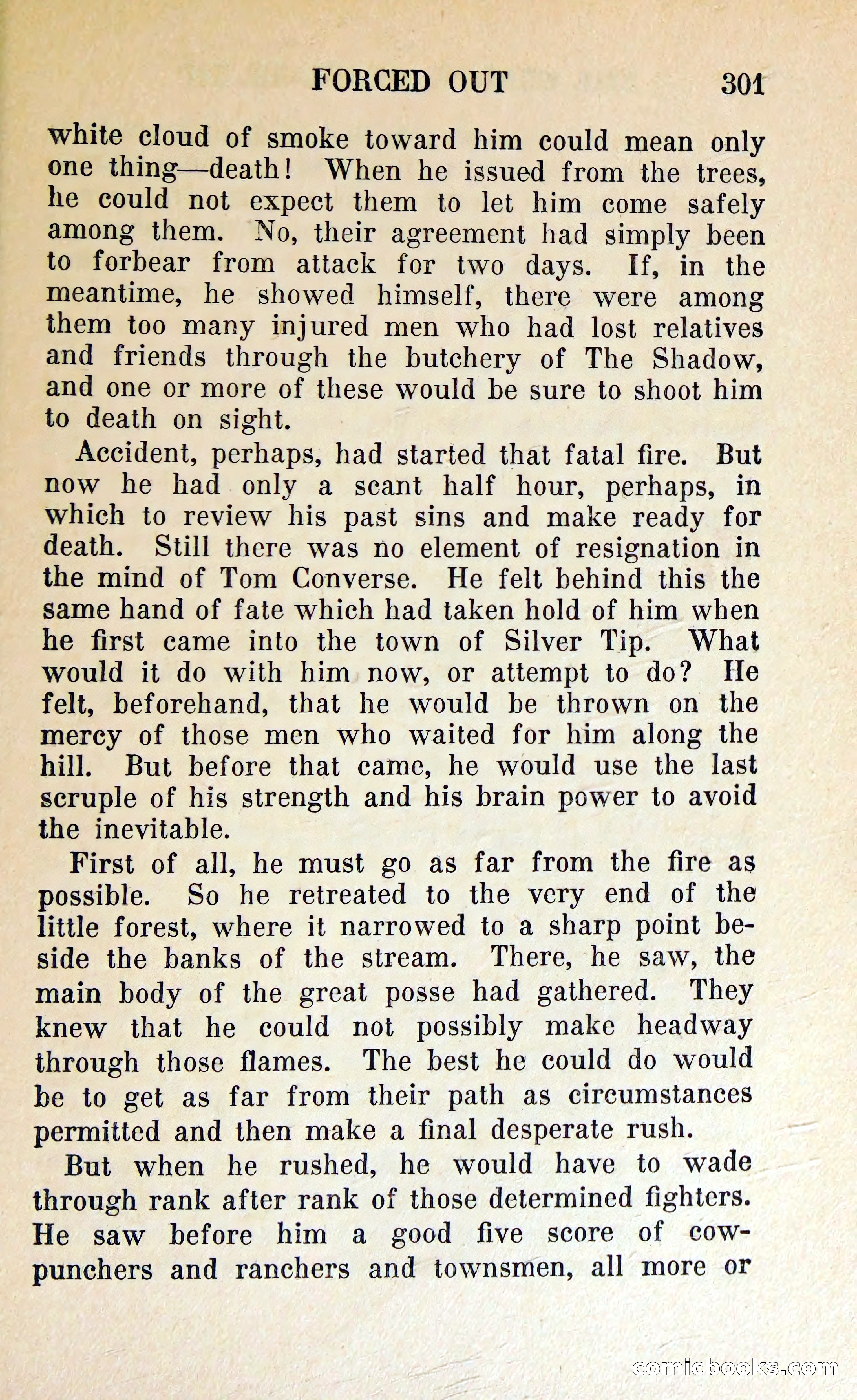 The Shadow of Silver Tip — page 304 of 329