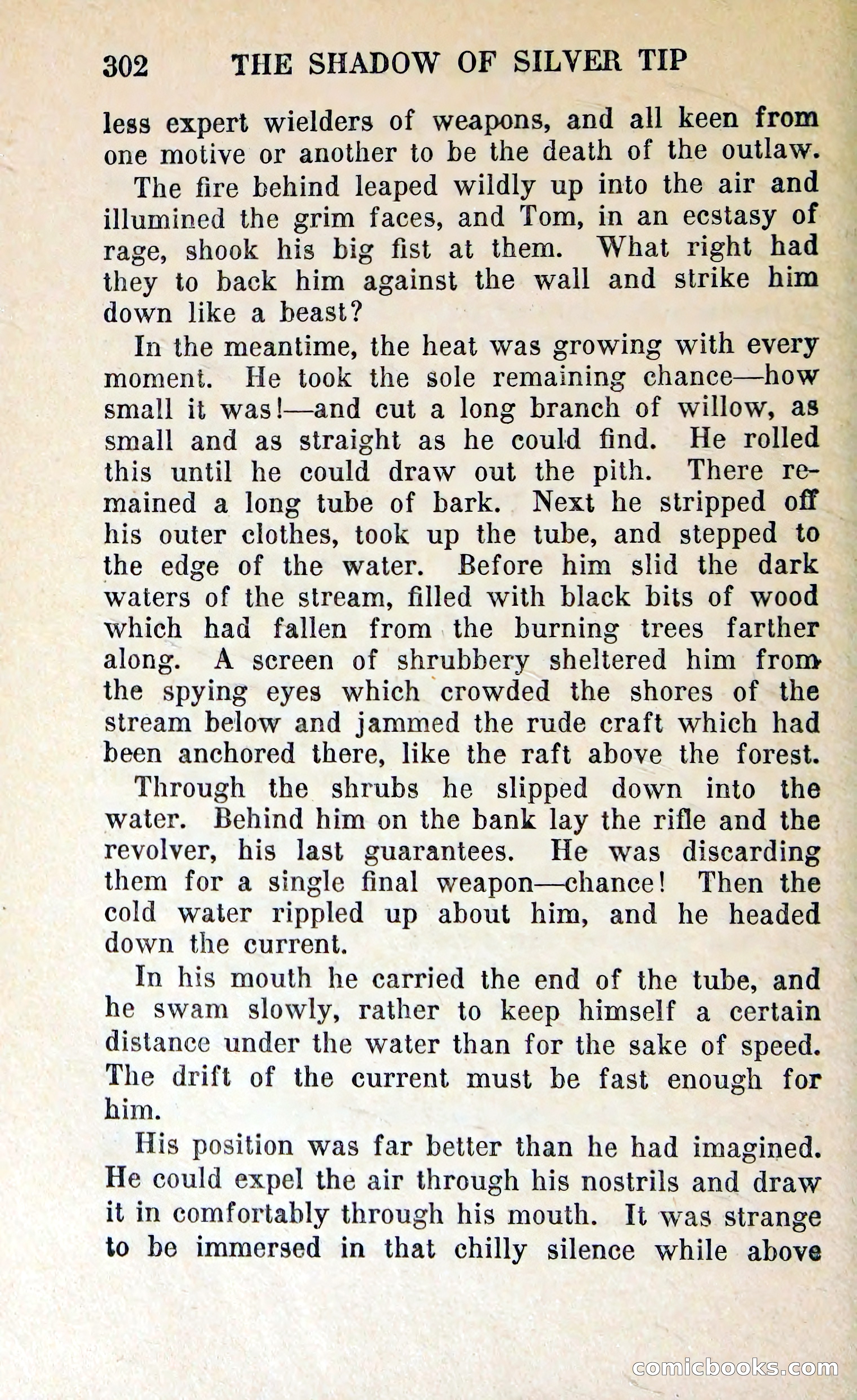 The Shadow of Silver Tip — page 305 of 329