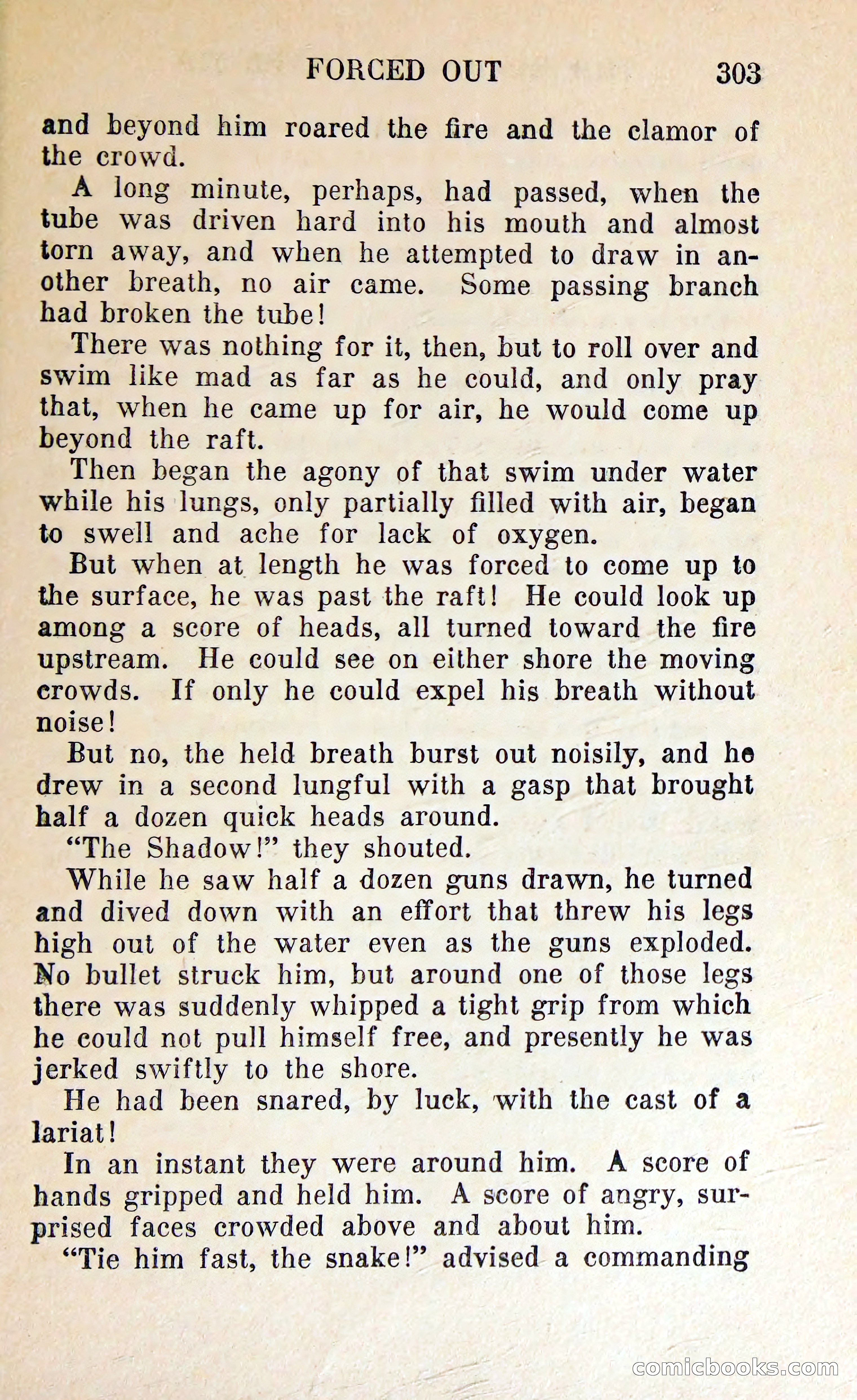 The Shadow of Silver Tip — page 306 of 329